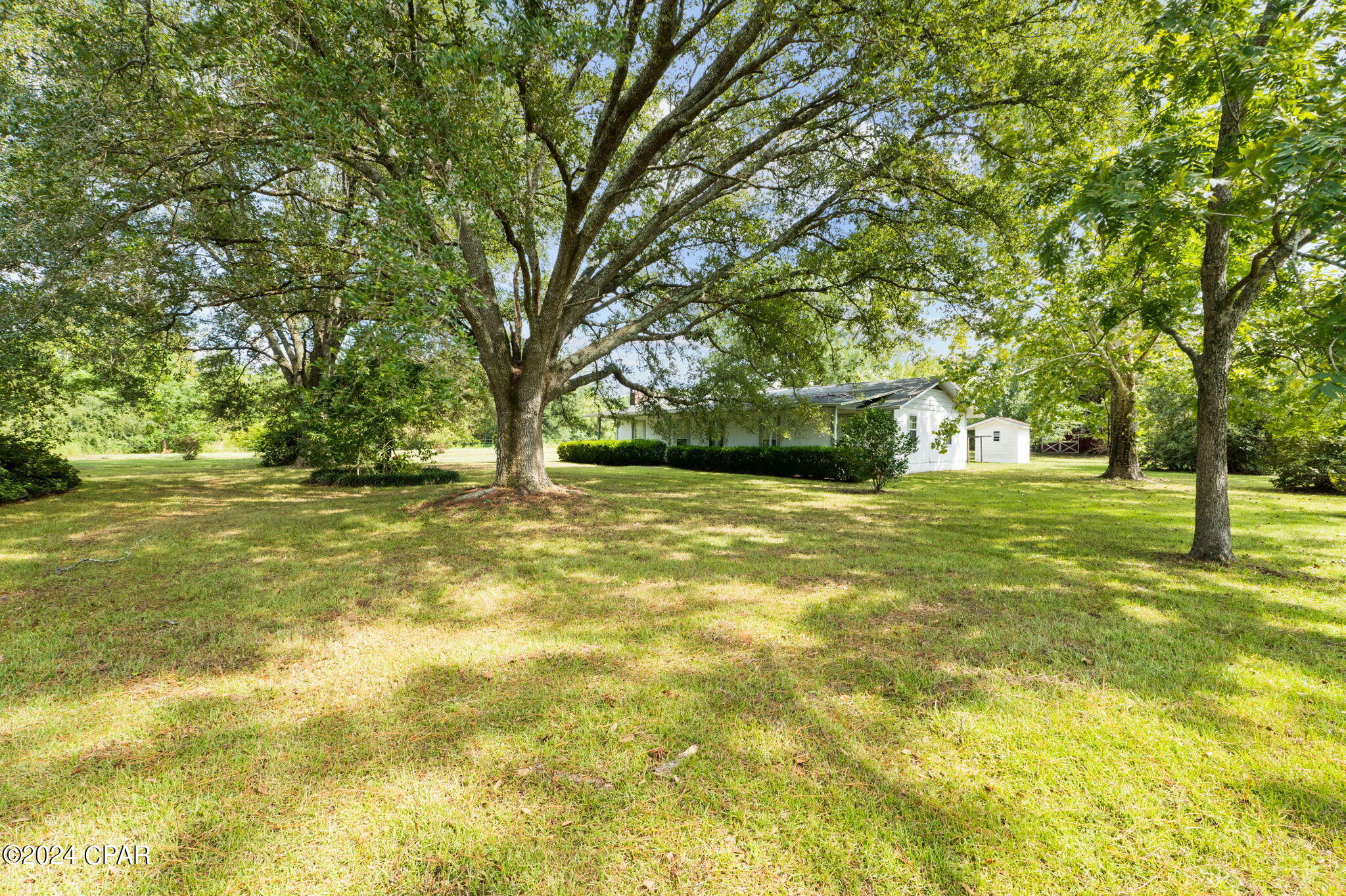 877 Clayton Road, Chipley, Florida image 3