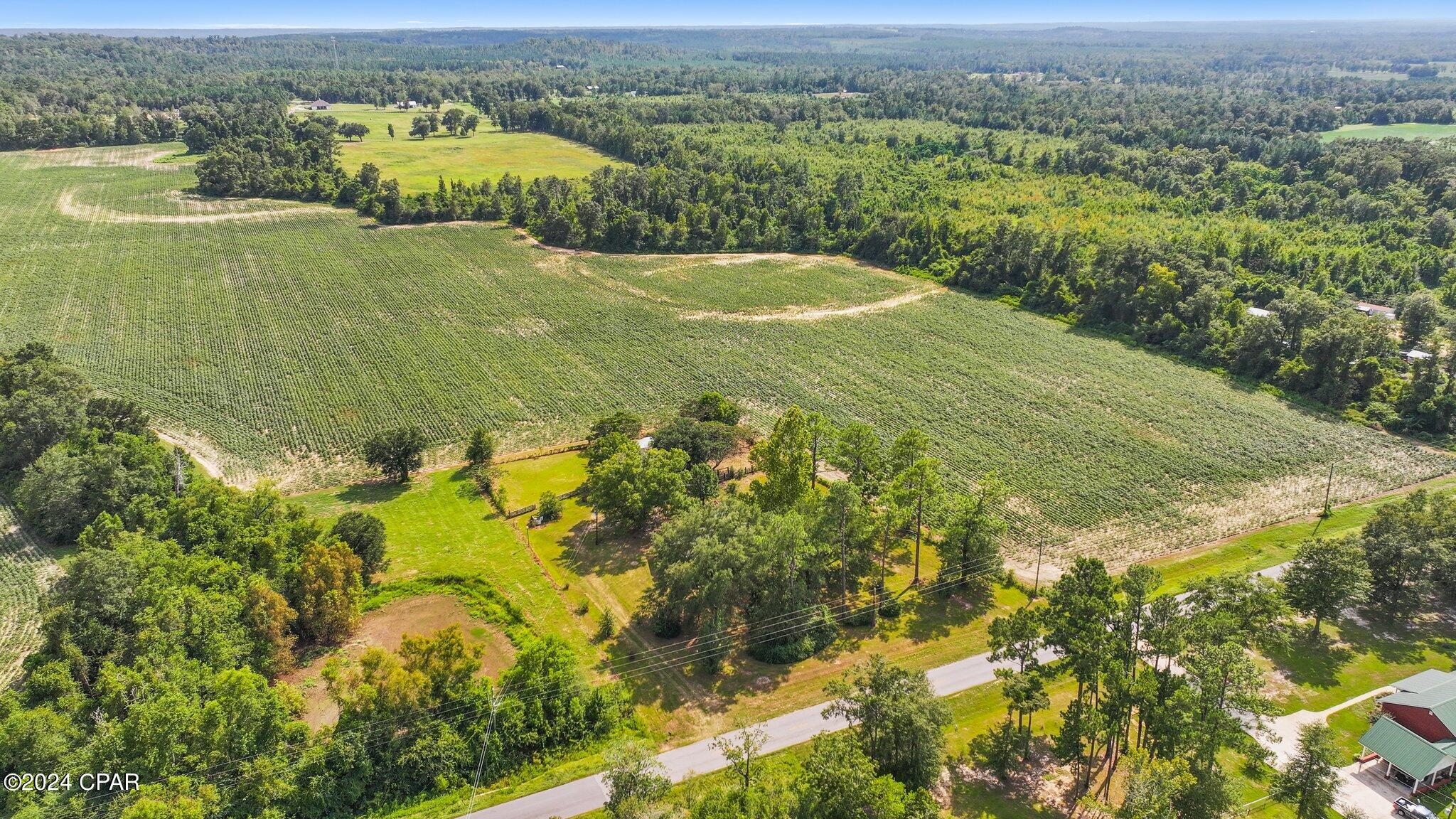 877 Clayton Road, Chipley, Florida image 42