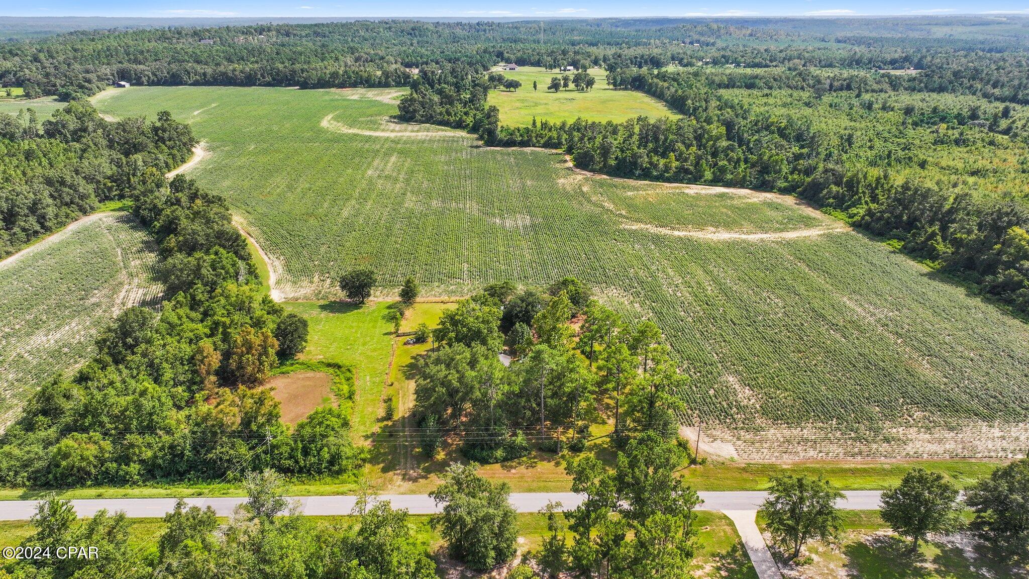 877 Clayton Road, Chipley, Florida image 43