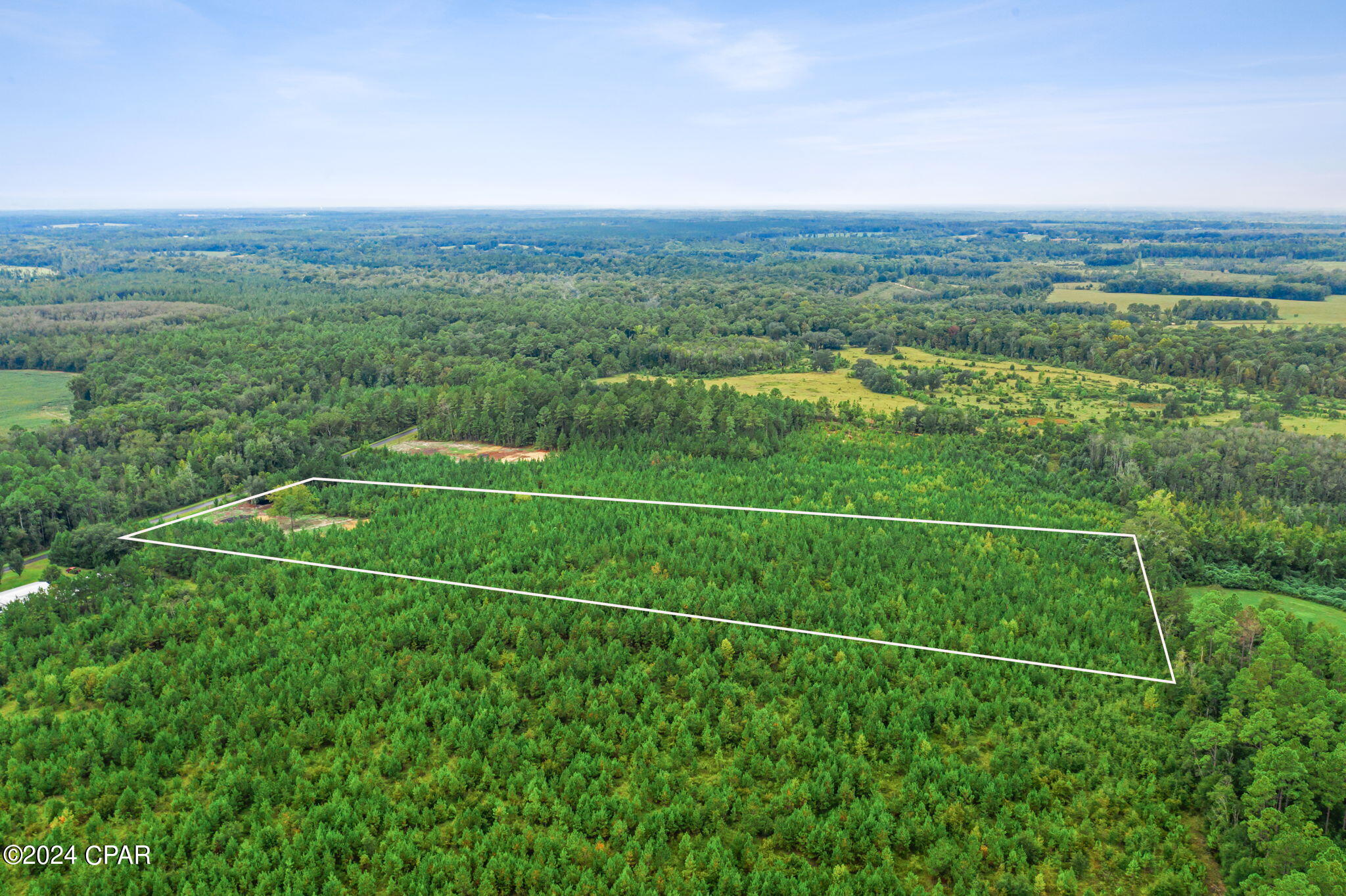 Lot 2 Reddick Mill Road, Graceville, Florida image 6