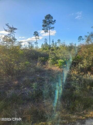 Photo of Hwy 167 County Road #167 Fountain FL 32438