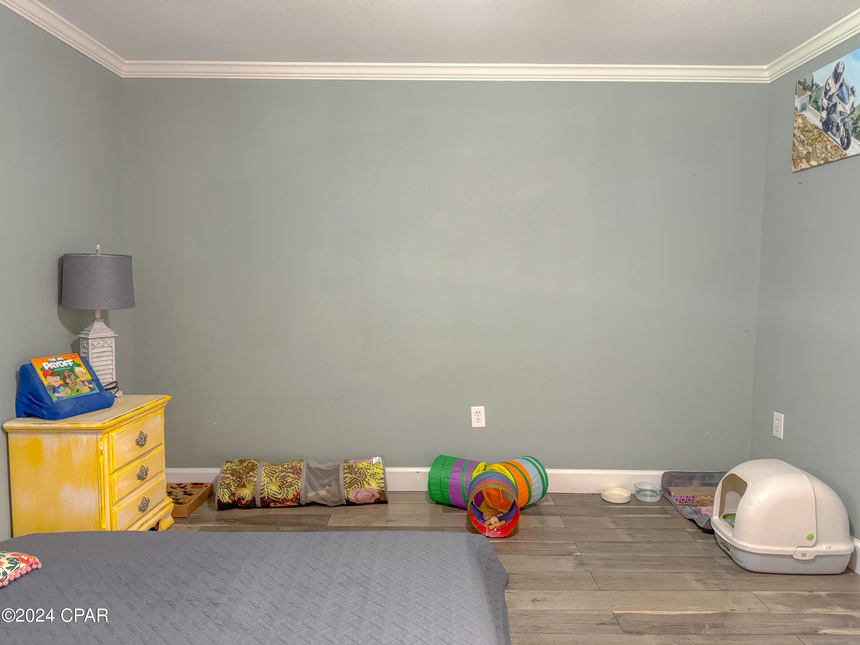 8010 SW Chester Pickron Road, Youngstown, Florida image 24