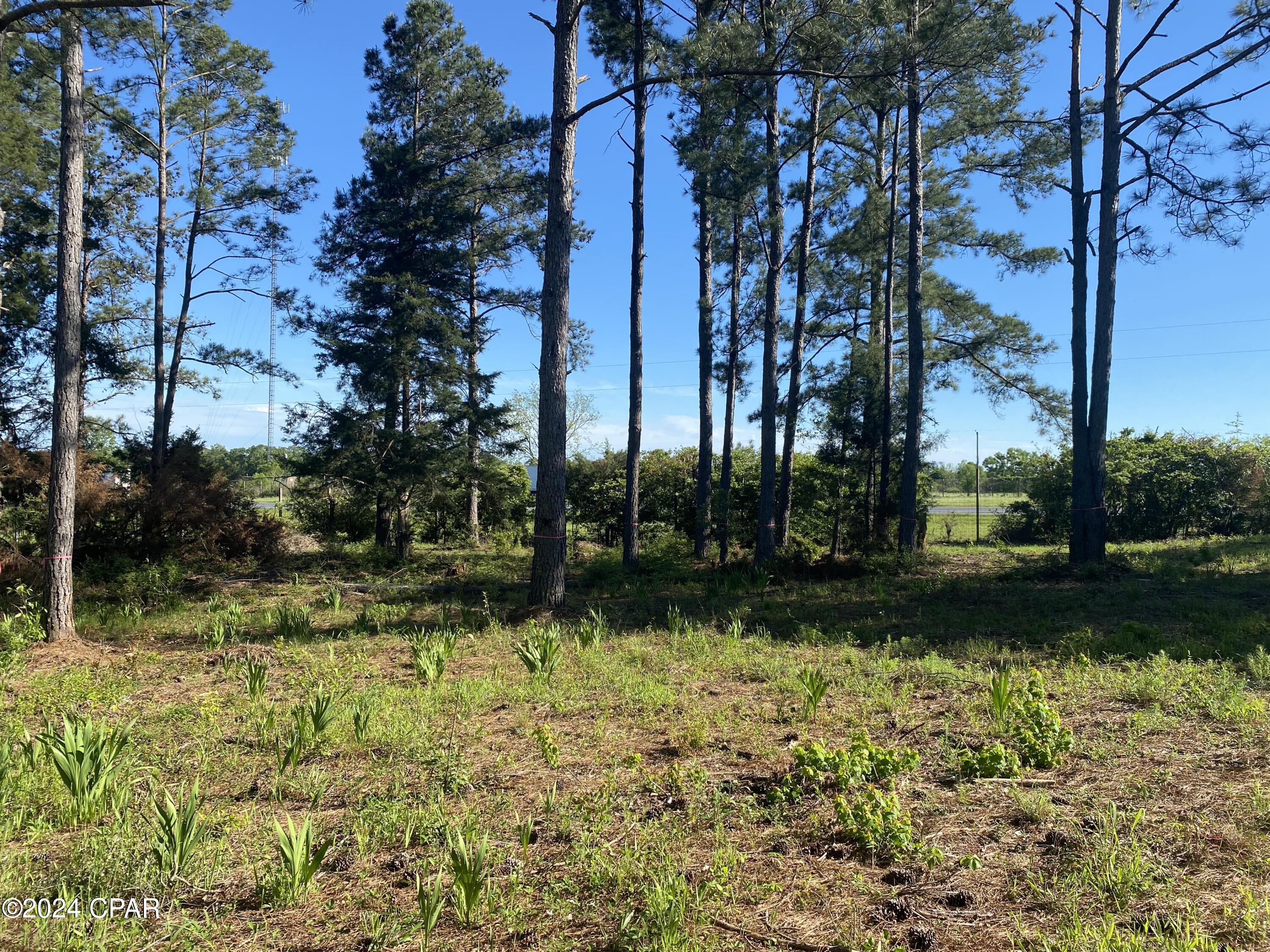 Photo of 2341 Sweetgum Bonifay FL 32425