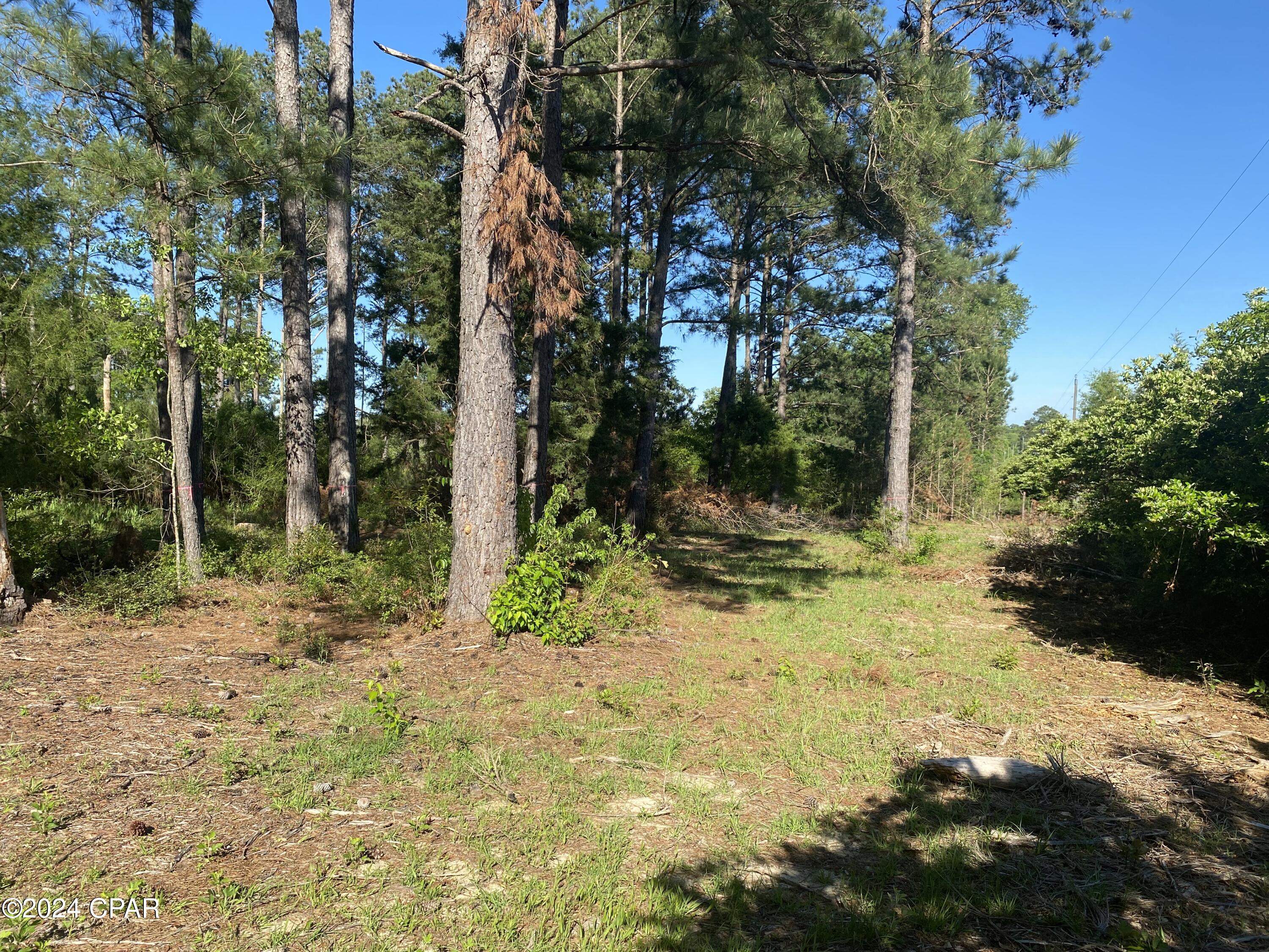 Image 11 For 2341 Sweetgum Drive
