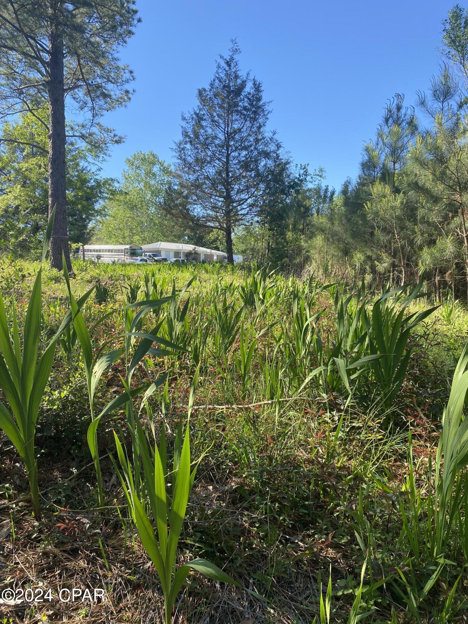 Image 8 For 2338 Sweetgum Drive