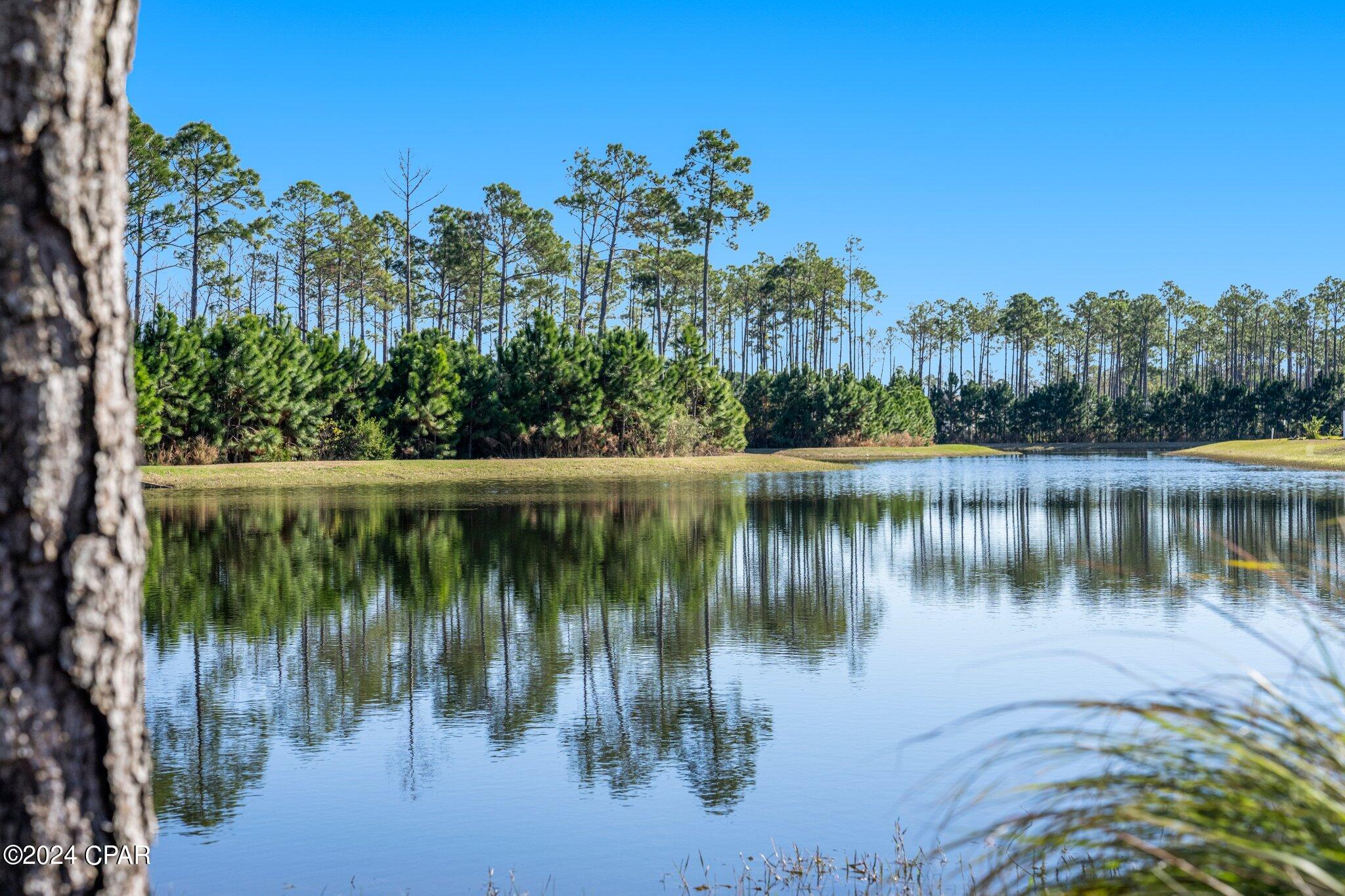 Image 45 For 1083 Harrison Bayou Drive