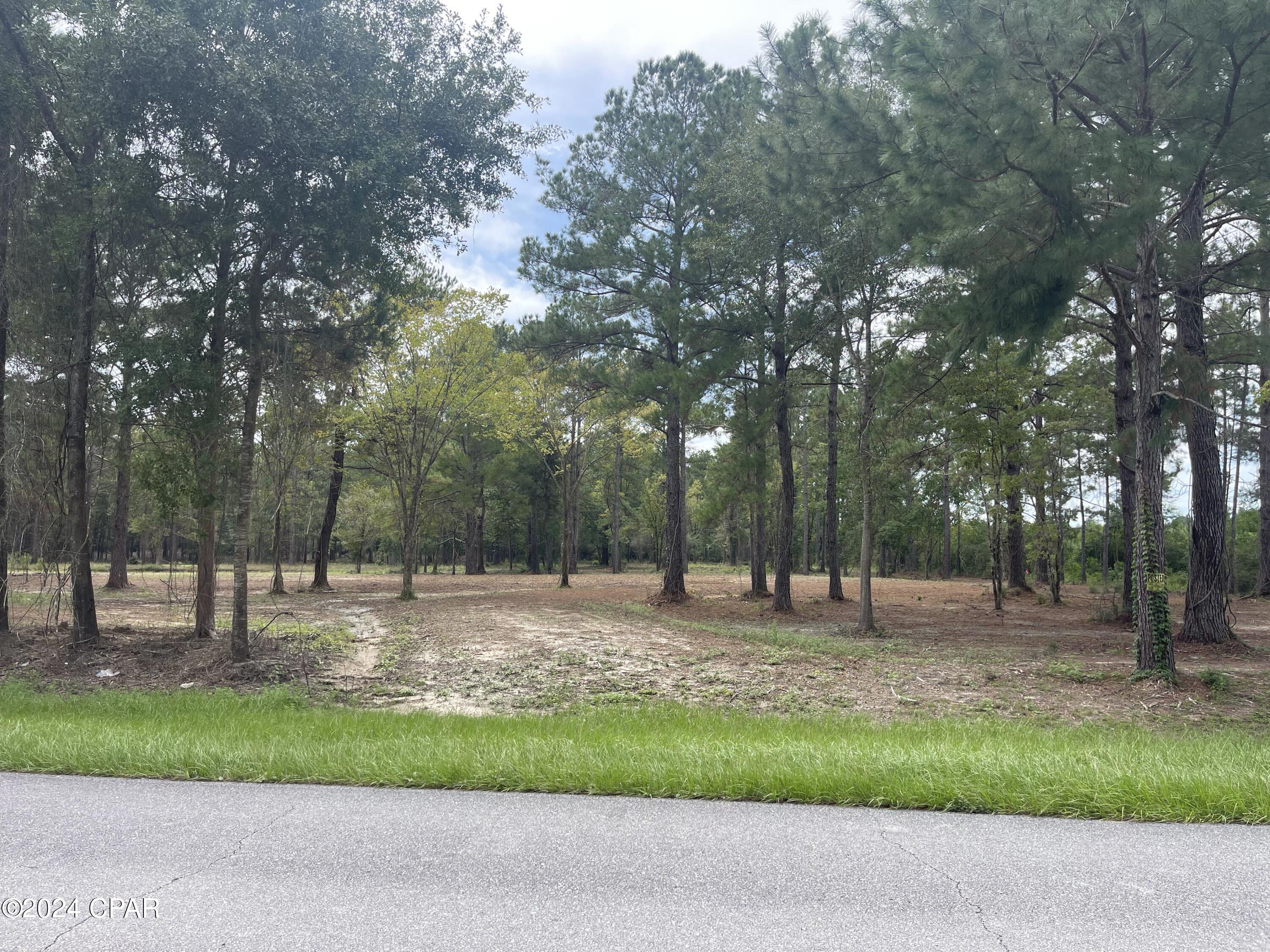 Details for Tbd Cr 381  , Wewahitchka, FL 32465