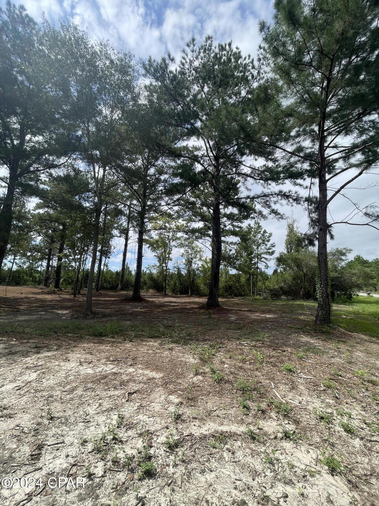 Image 14 For Tbd Cr 381  