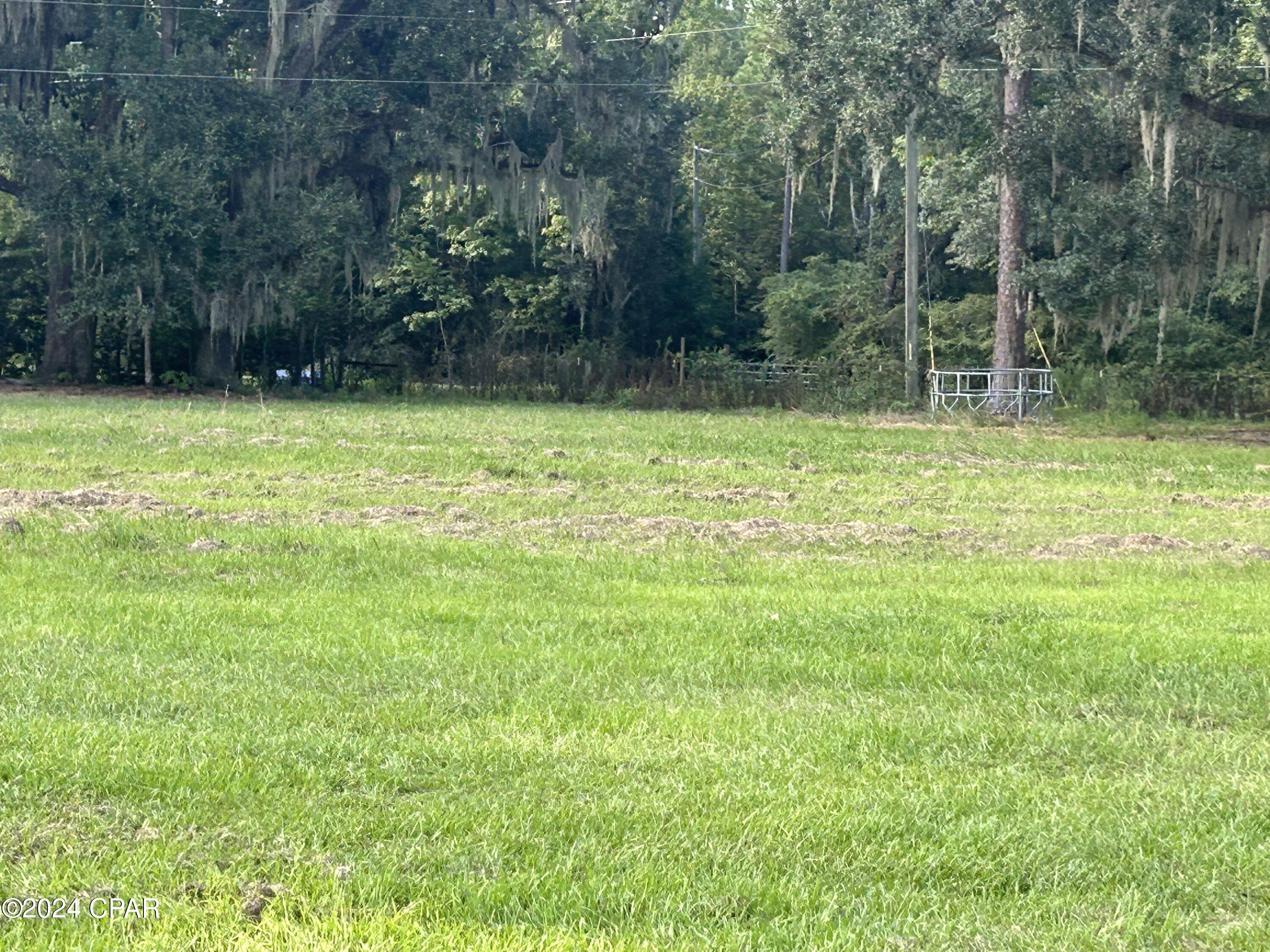 5588 Sycamore Road, Quincy, Florida image 17
