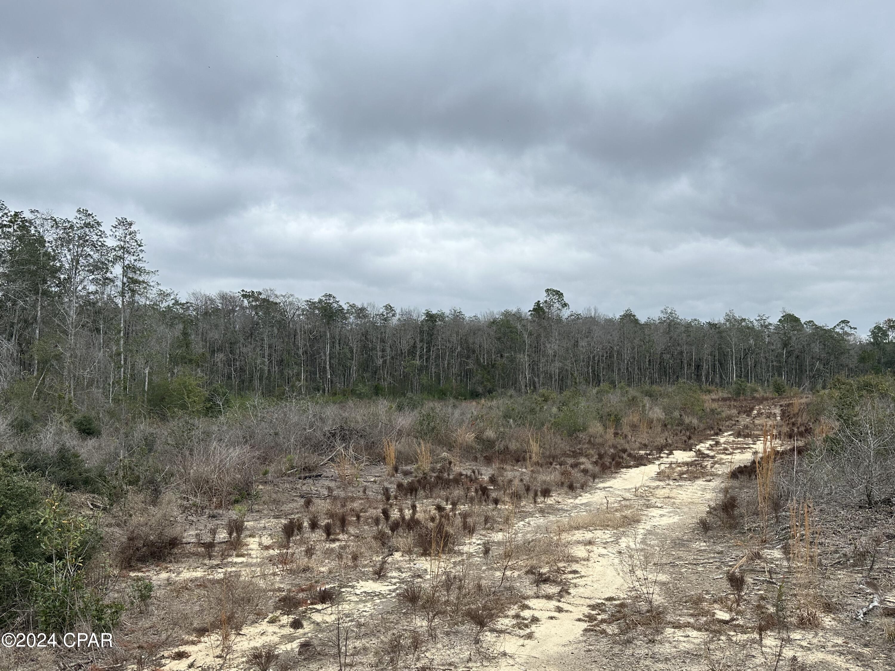 Image 10 For Tract 6415 Hwy 79