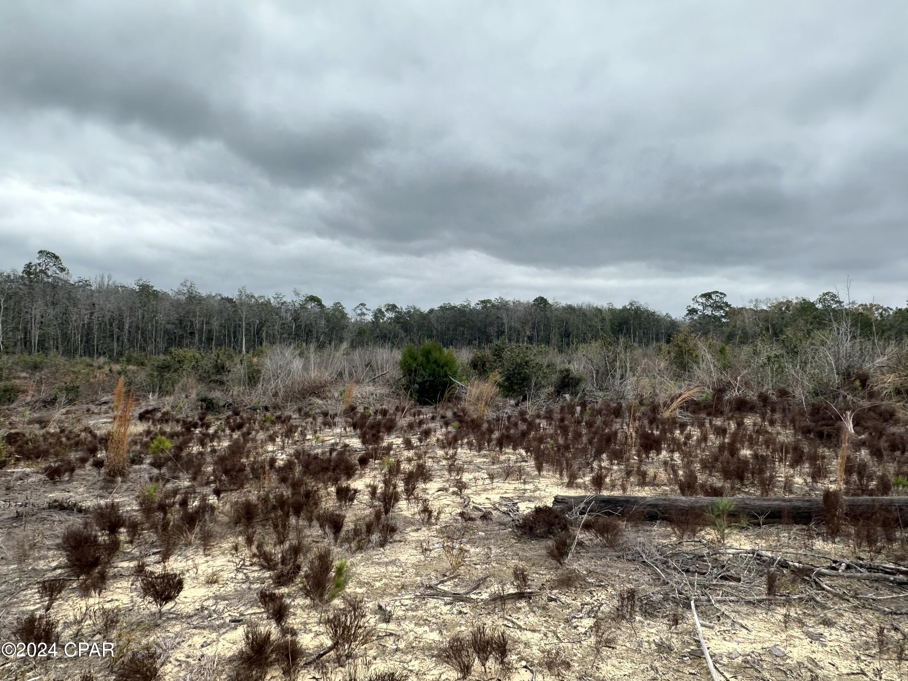 Tract 6415 Hwy 79, Bonifay, Florida image 12