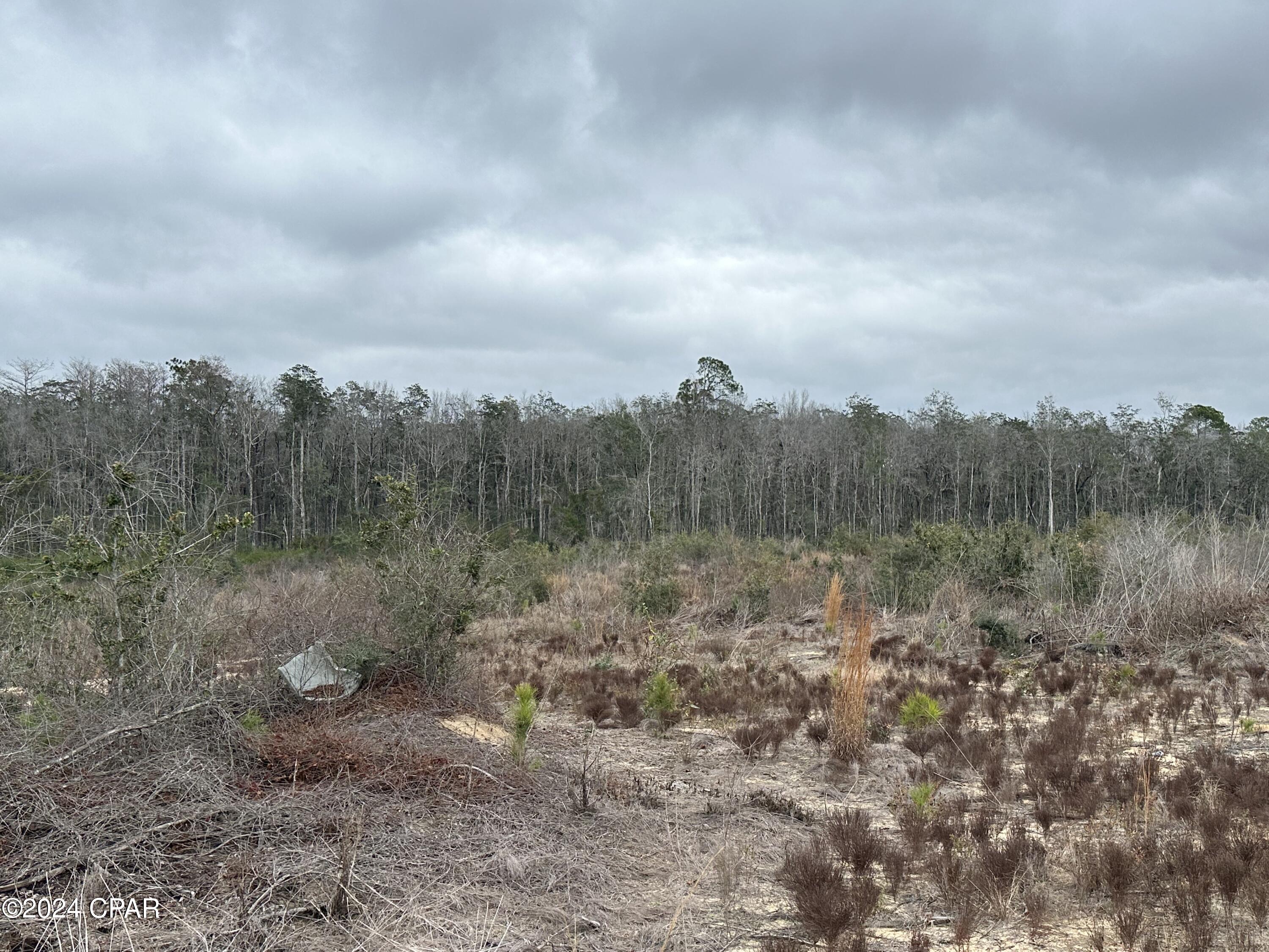 Image 13 For Tract 6415 Hwy 79
