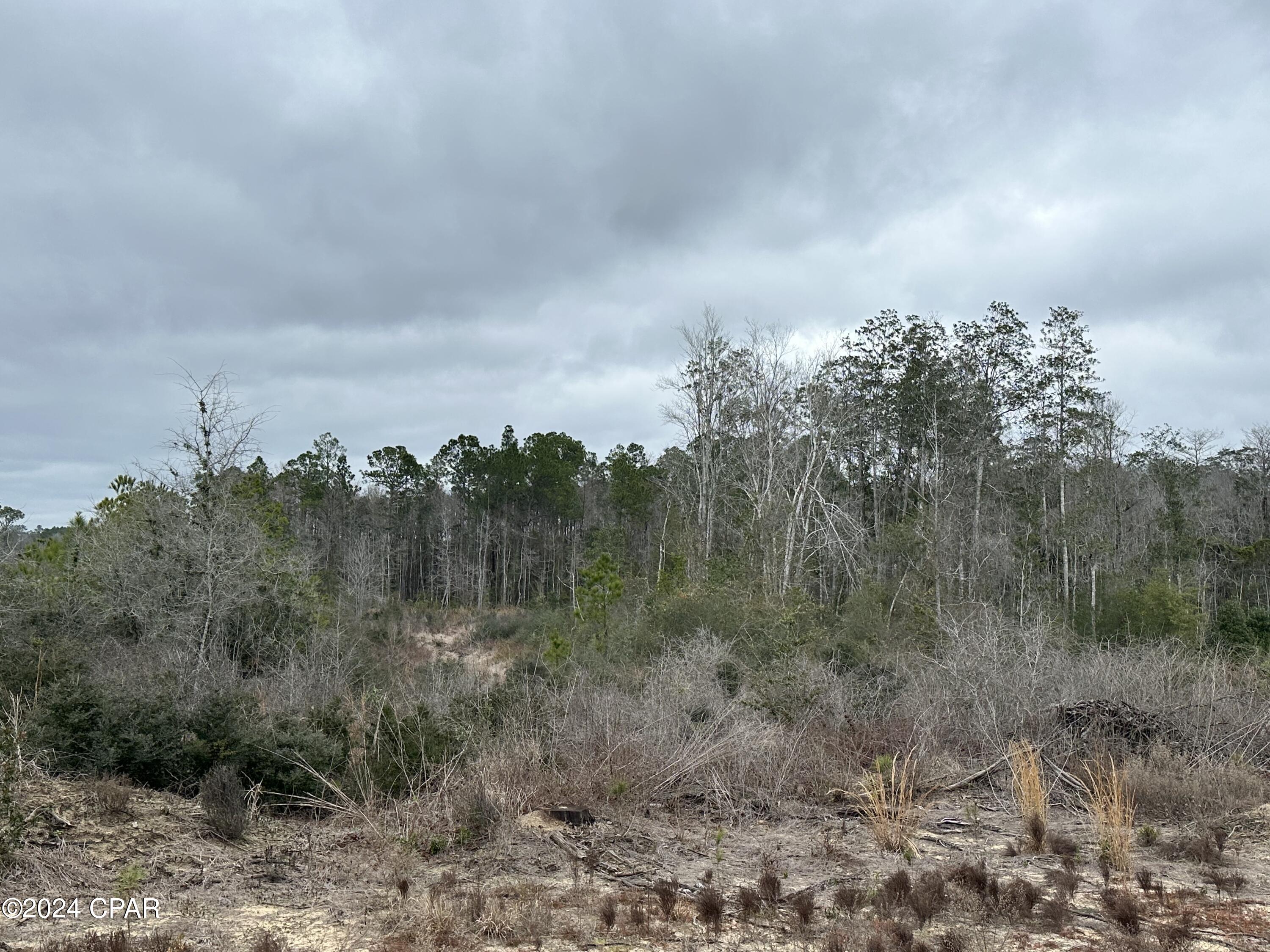 Image 14 For Tract 6415 Hwy 79