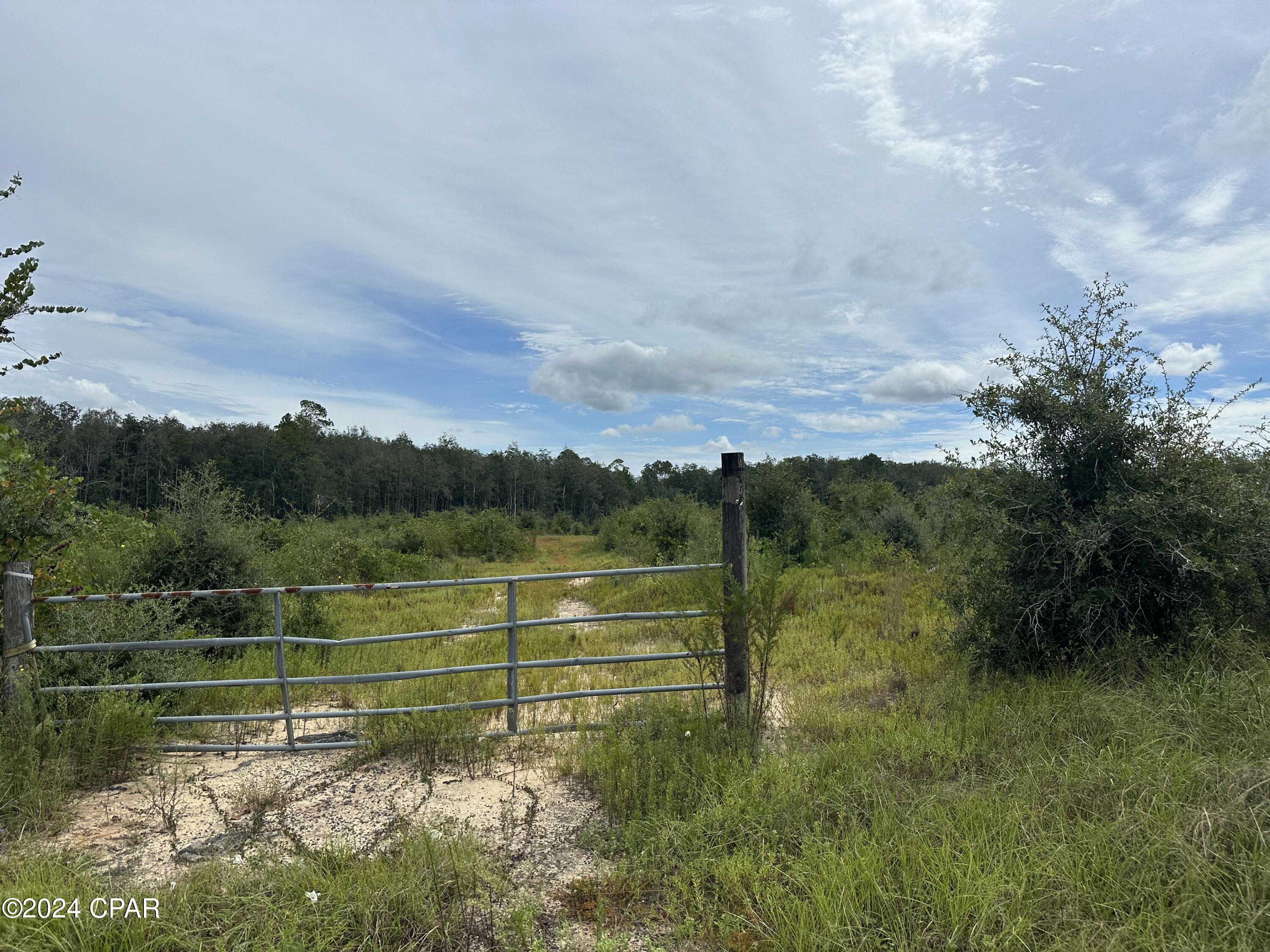 Tract 6415 Hwy 79, Bonifay, Florida image 5