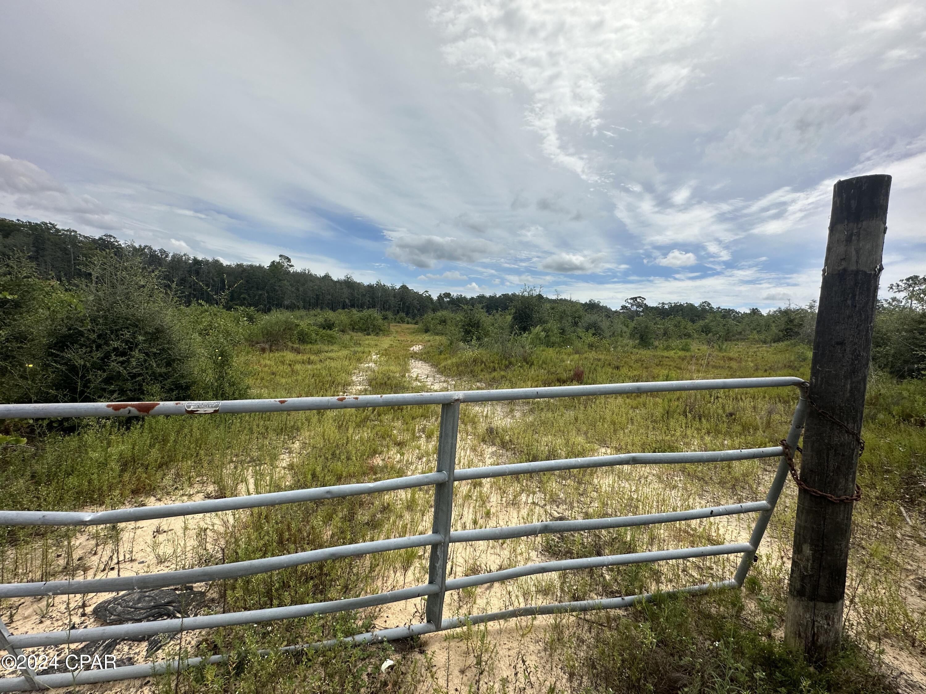 Tract 6415 Hwy 79, Bonifay, Florida image 6