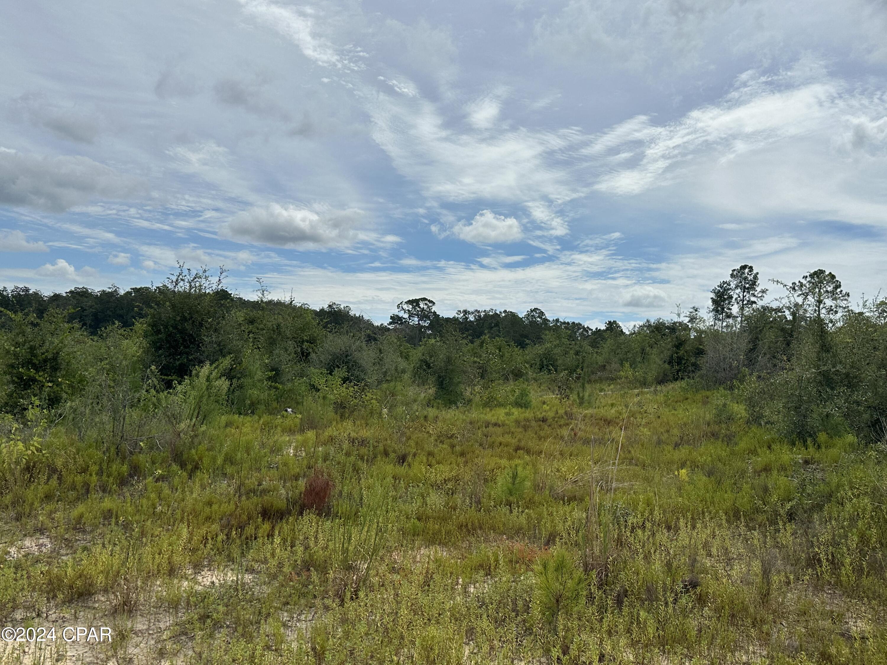 Tract 6415 Hwy 79, Bonifay, Florida image 7