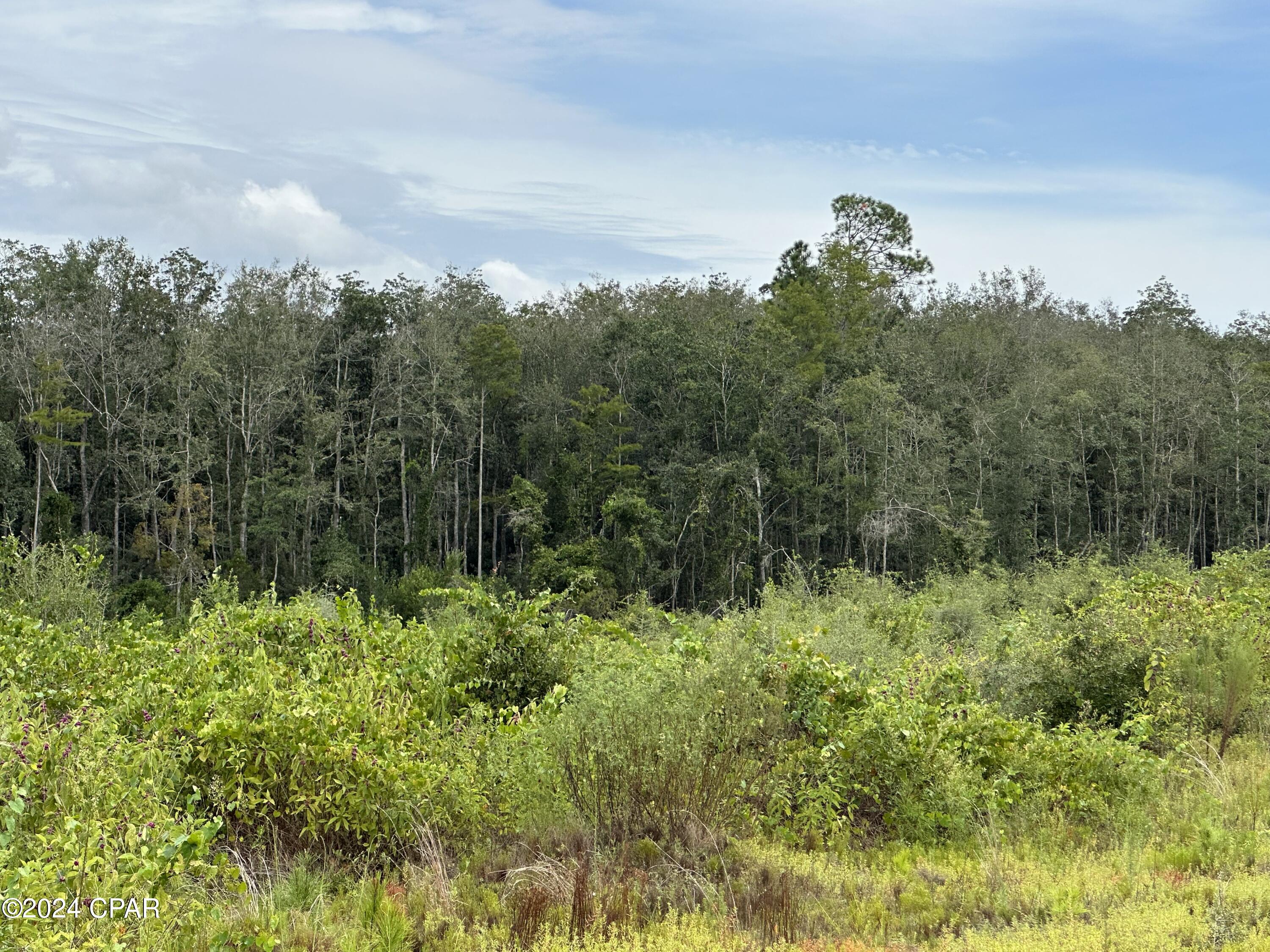 Tract 6415 Hwy 79, Bonifay, Florida image 8
