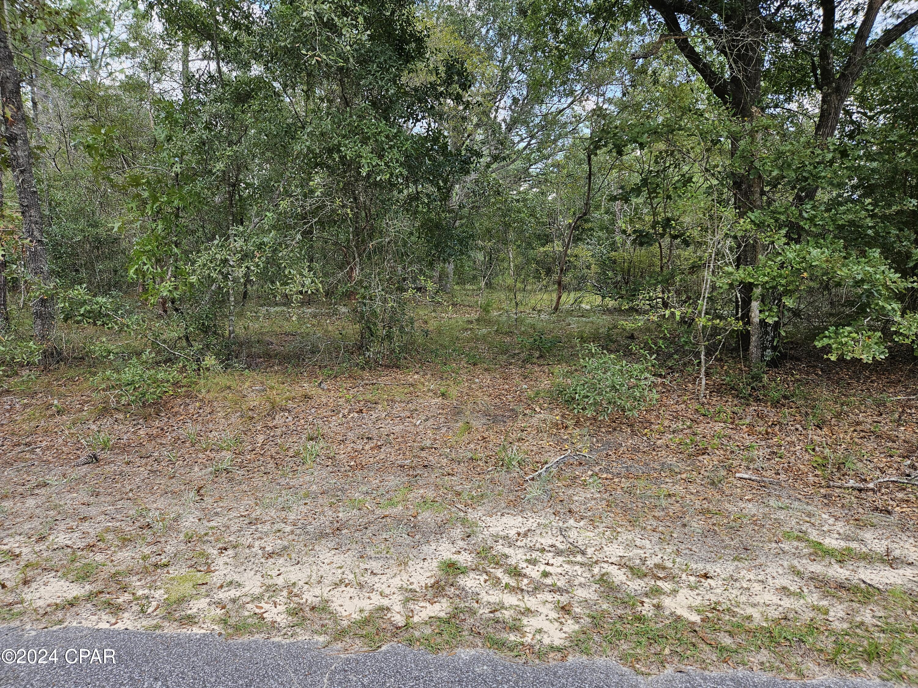 Photo of 00 Quail Ridge Chipley FL 32428