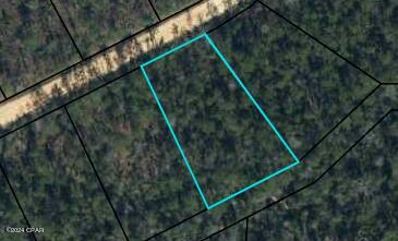 Photo of Lot 6 Battleground Alford FL 32420