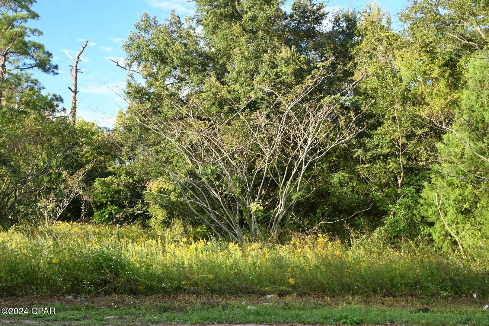 Image 1 For 1208 Old Bonifay Road