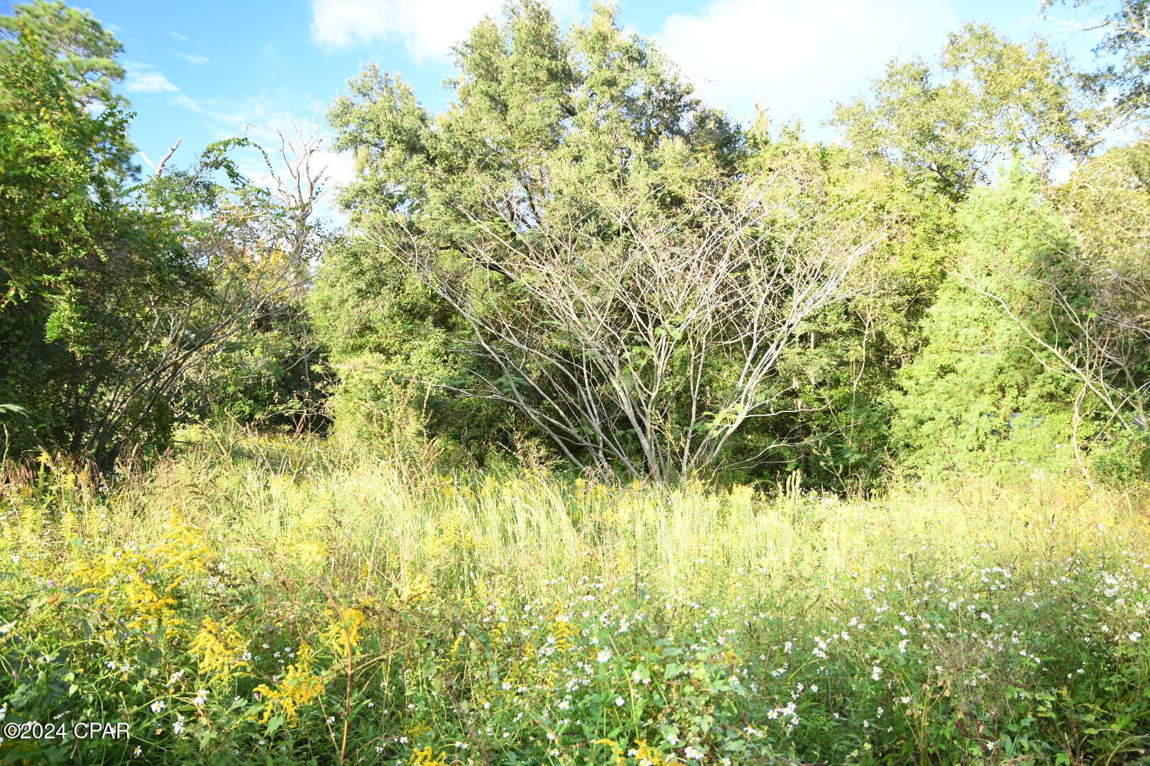 Image 11 For 1208 Old Bonifay Road