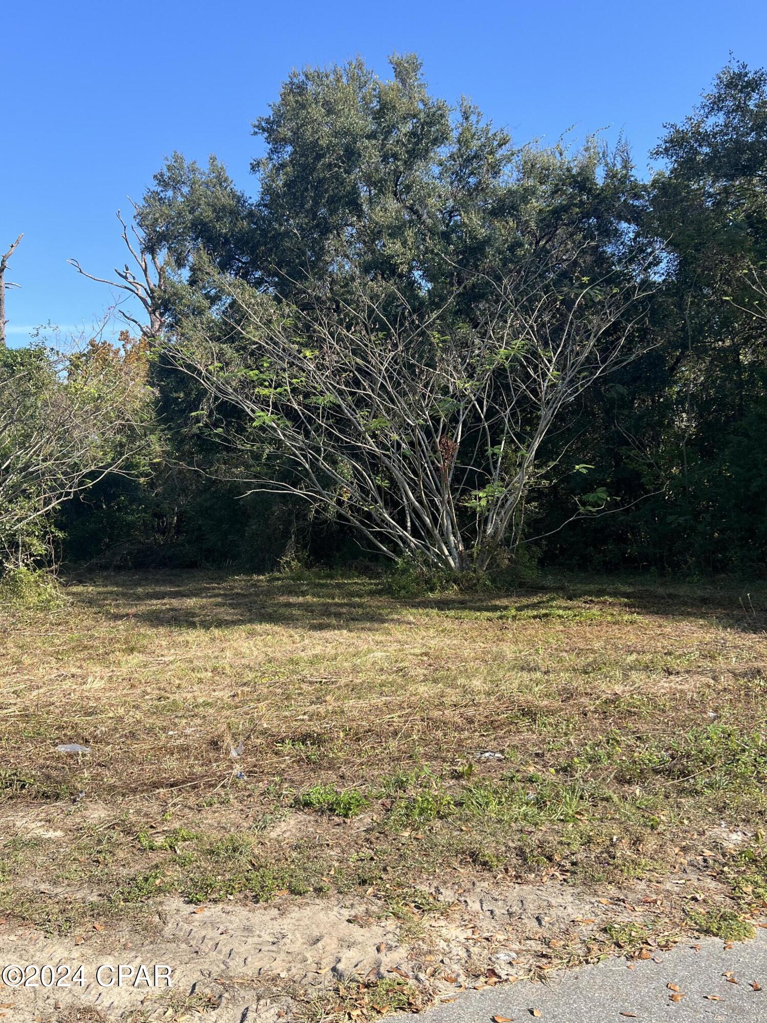 Image 5 For 1208 Old Bonifay Road