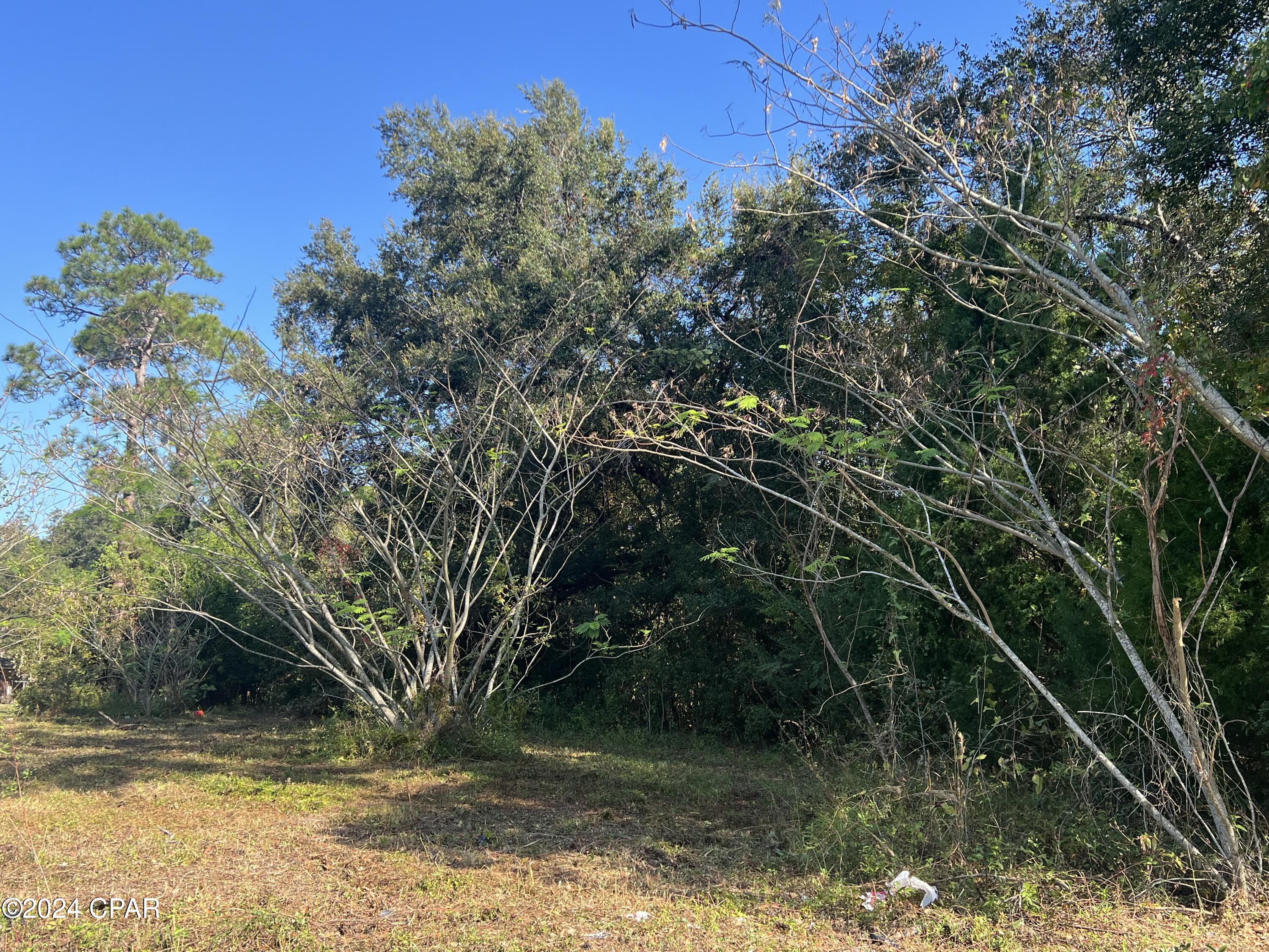 Image 7 For 1208 Old Bonifay Road