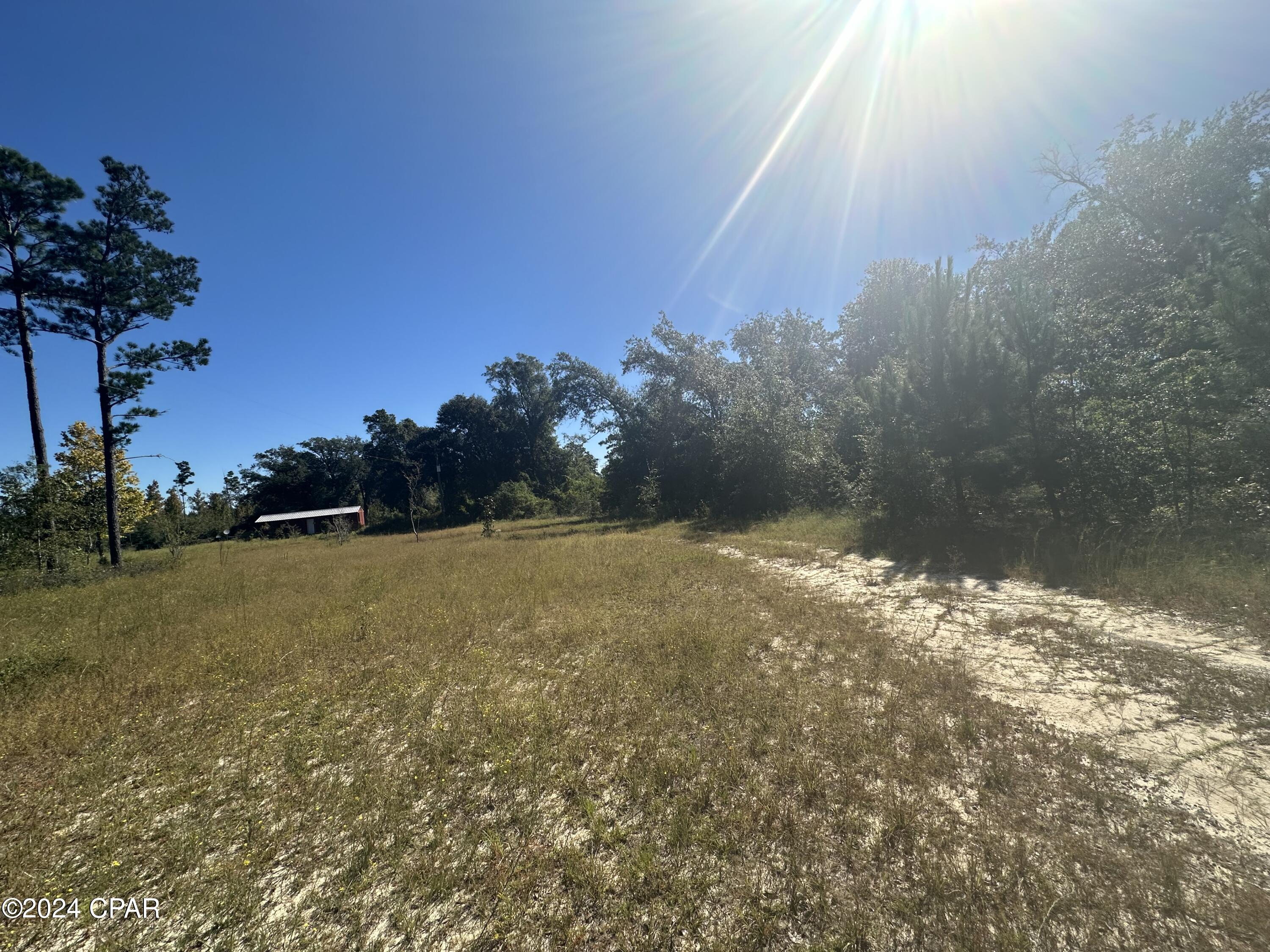 Photo of 17929 County Road 275 Altha FL 32421