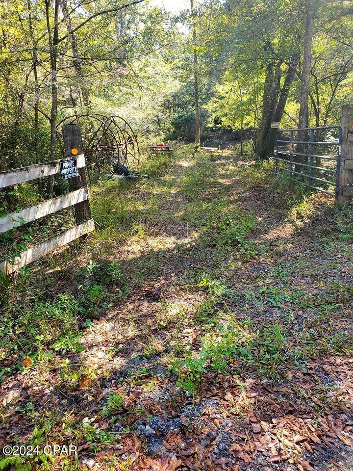 Image 6 For 000 Berrian Lake Road