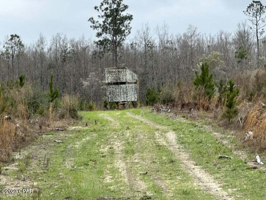 3934 Sand Path Road #TRACT6405, Bonifay, Florida image 1