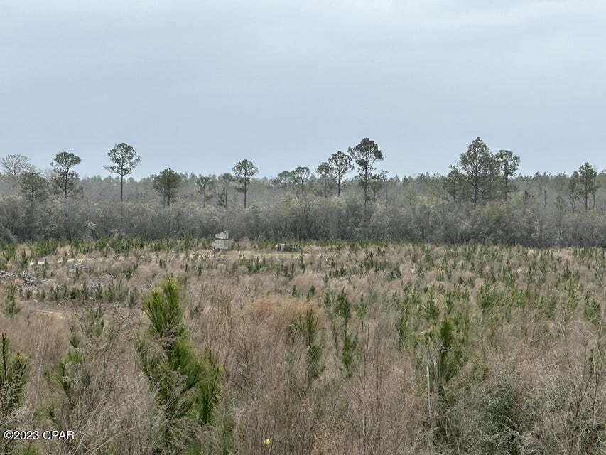 3934 Sand Path Road #TRACT6405, Bonifay, Florida image 11