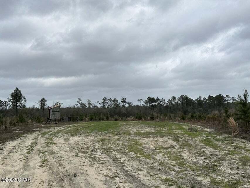 3934 Sand Path Road #TRACT6405, Bonifay, Florida image 12