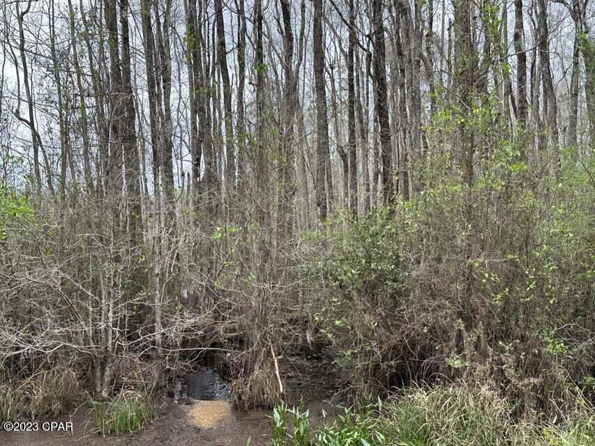 3934 Sand Path Road #TRACT6405, Bonifay, Florida image 16