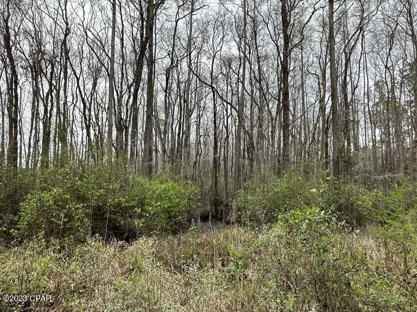 3934 Sand Path Road #TRACT6405, Bonifay, Florida image 17