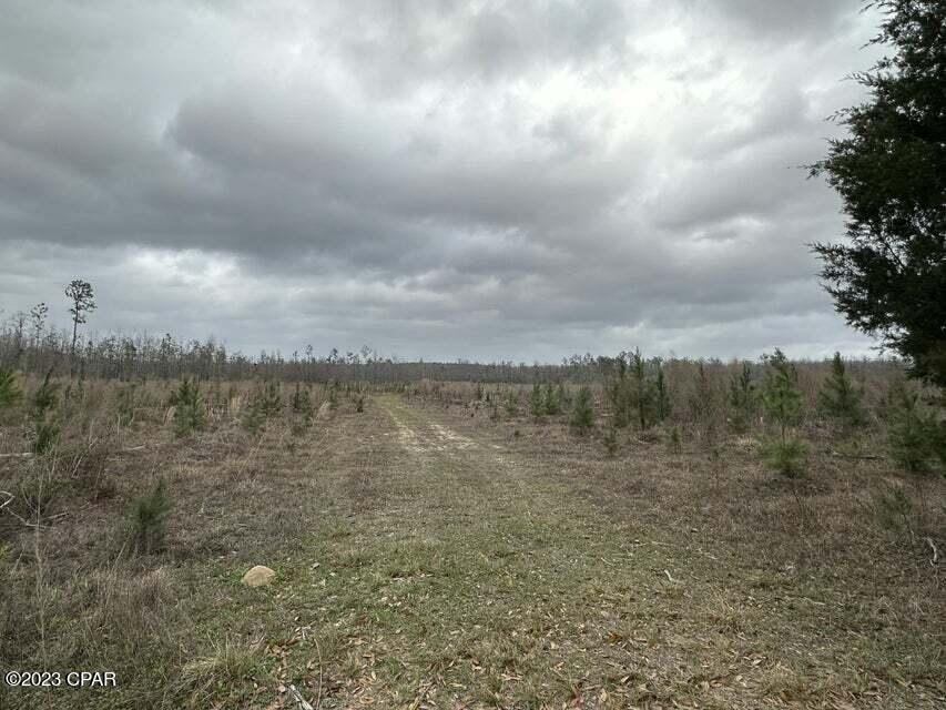 3934 Sand Path Road #TRACT6405, Bonifay, Florida image 22