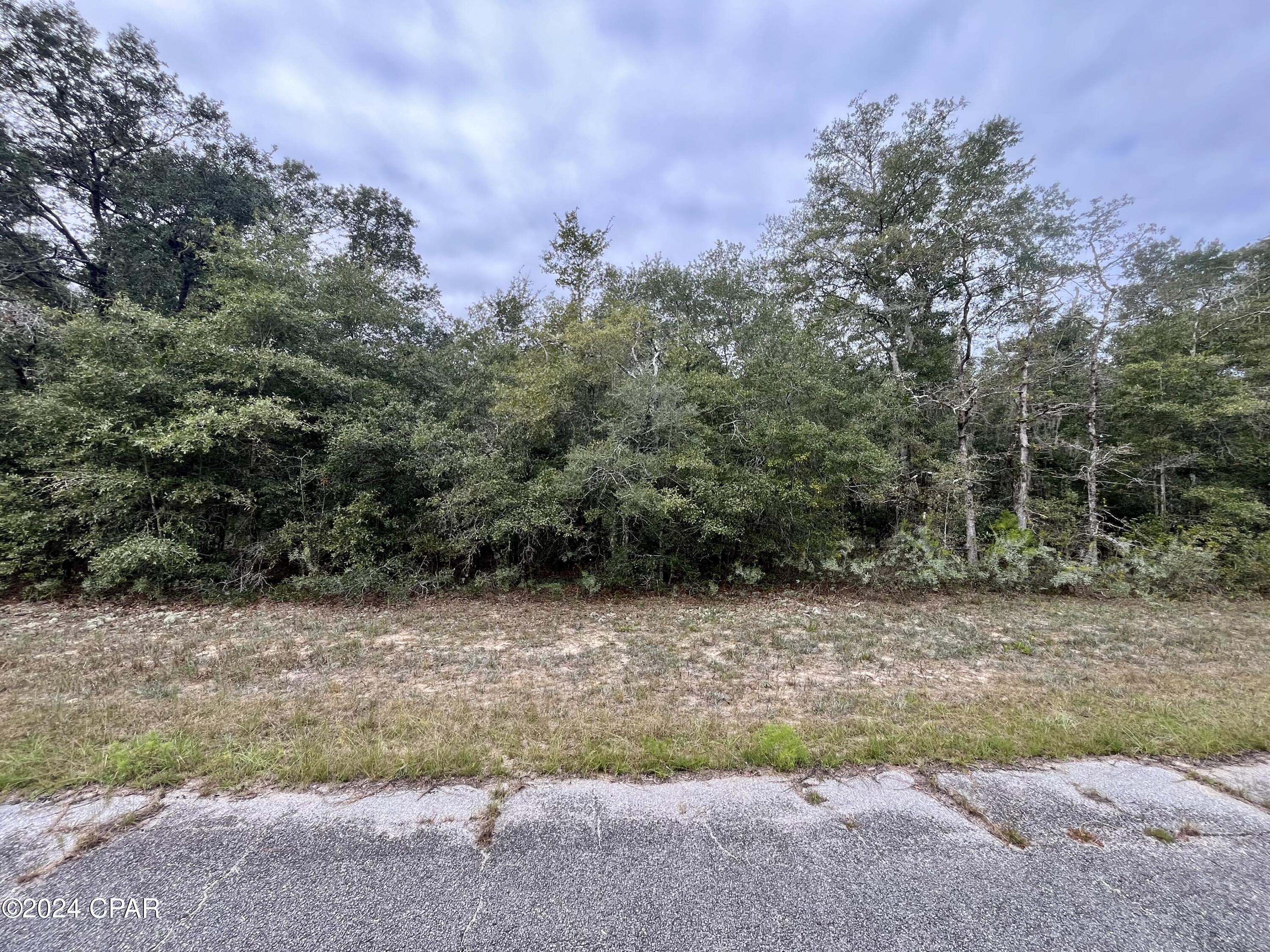 Photo of Lot 4 Fusion Chipley FL 32428