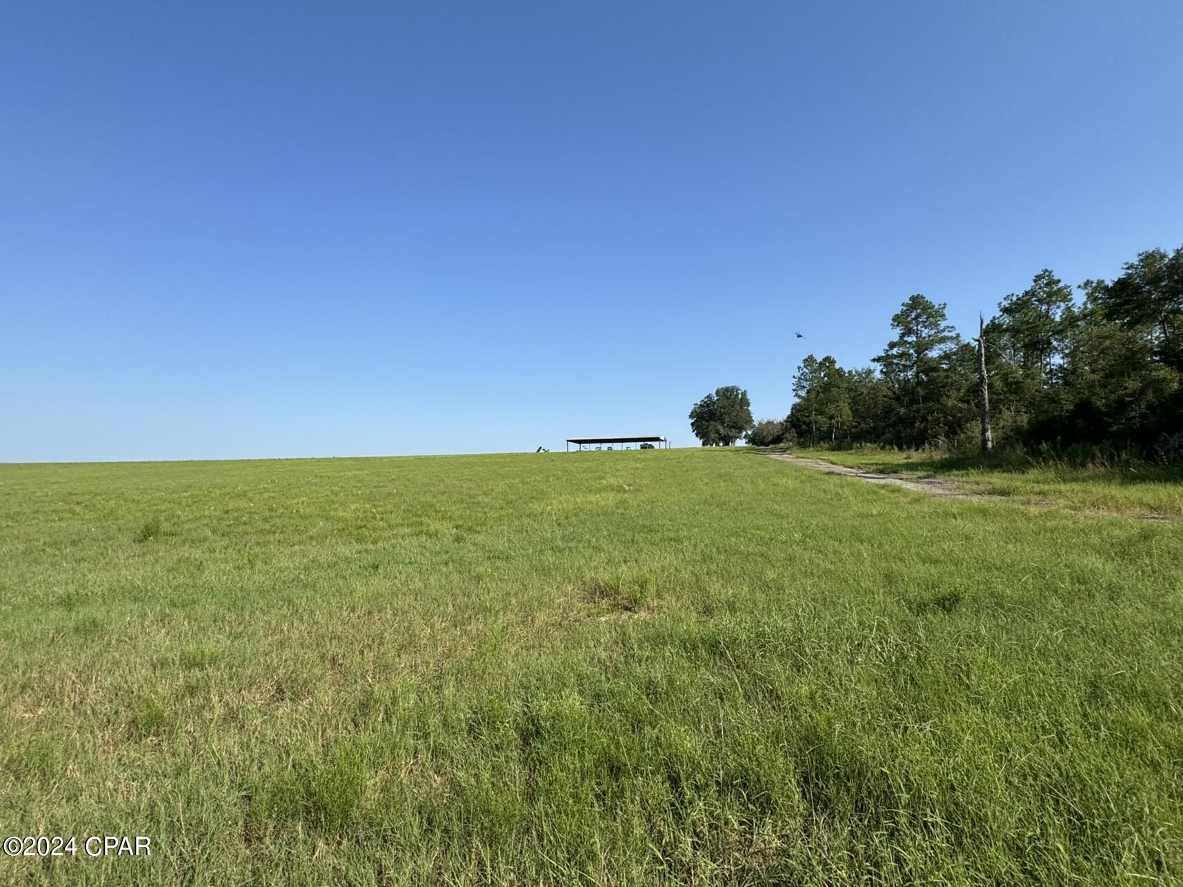 Image 20 For 0000land Crovetti