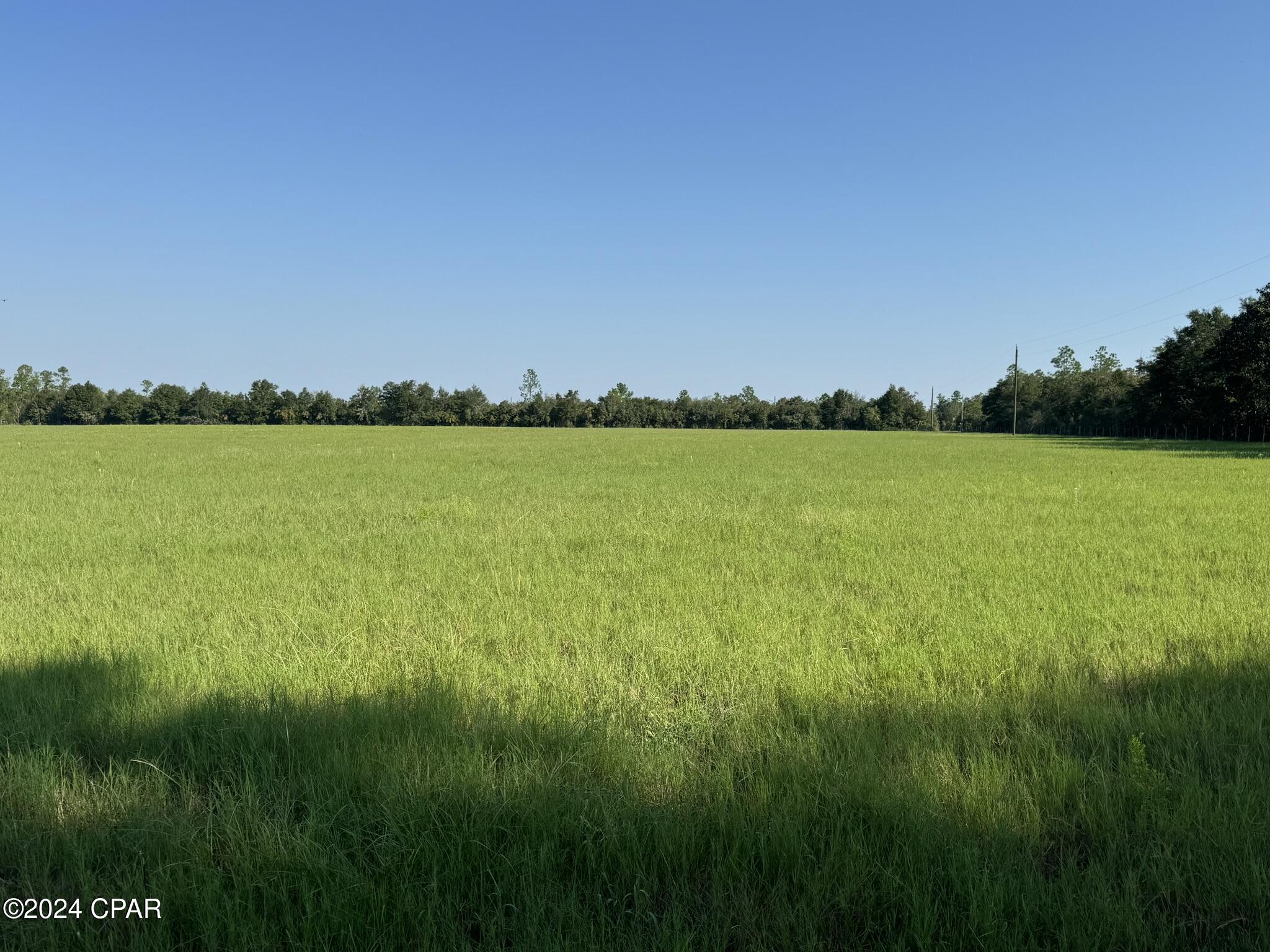 Image 4 For 0000land Crovetti