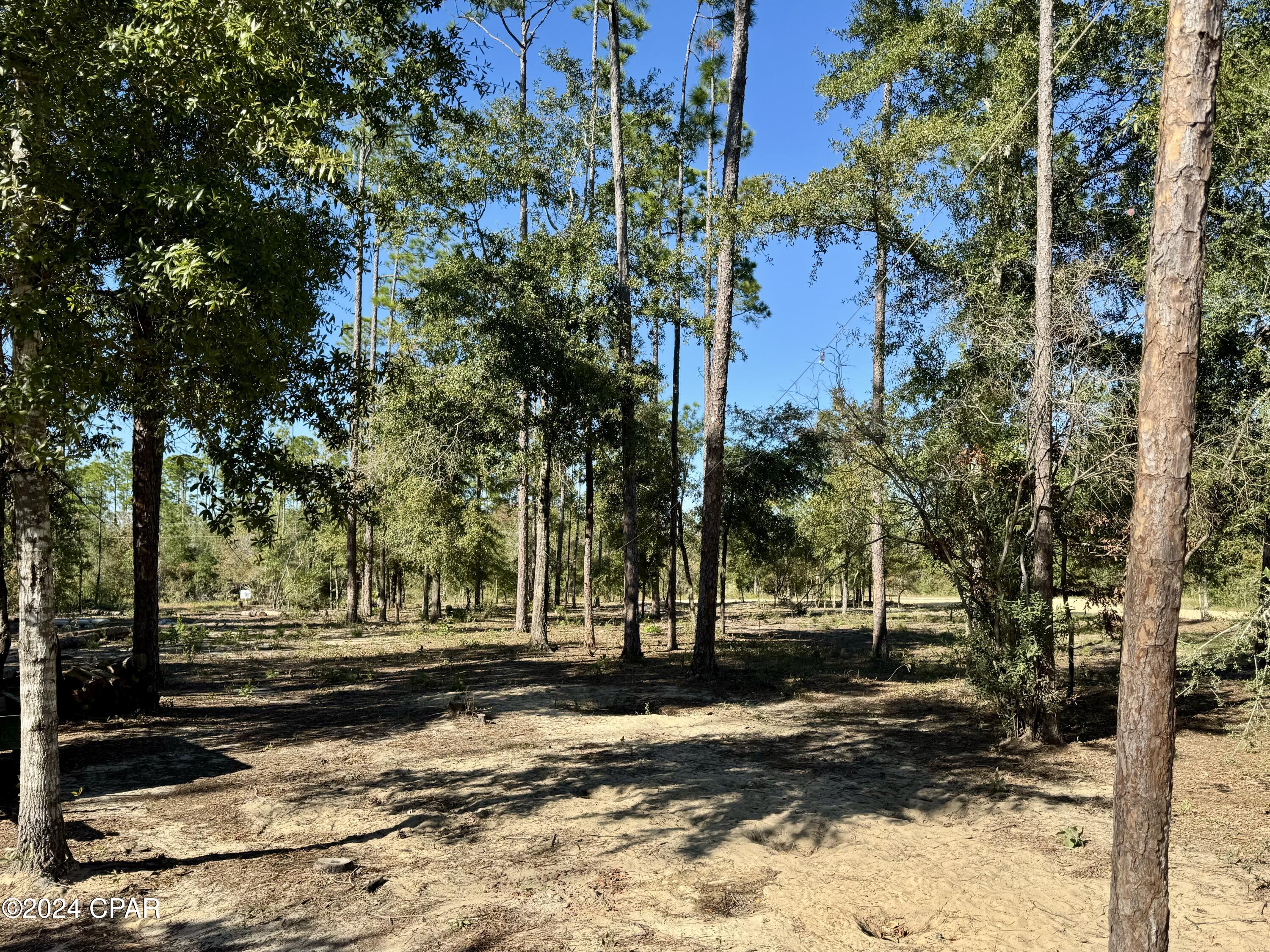 2661 Wells Street, Alford, Florida image 13