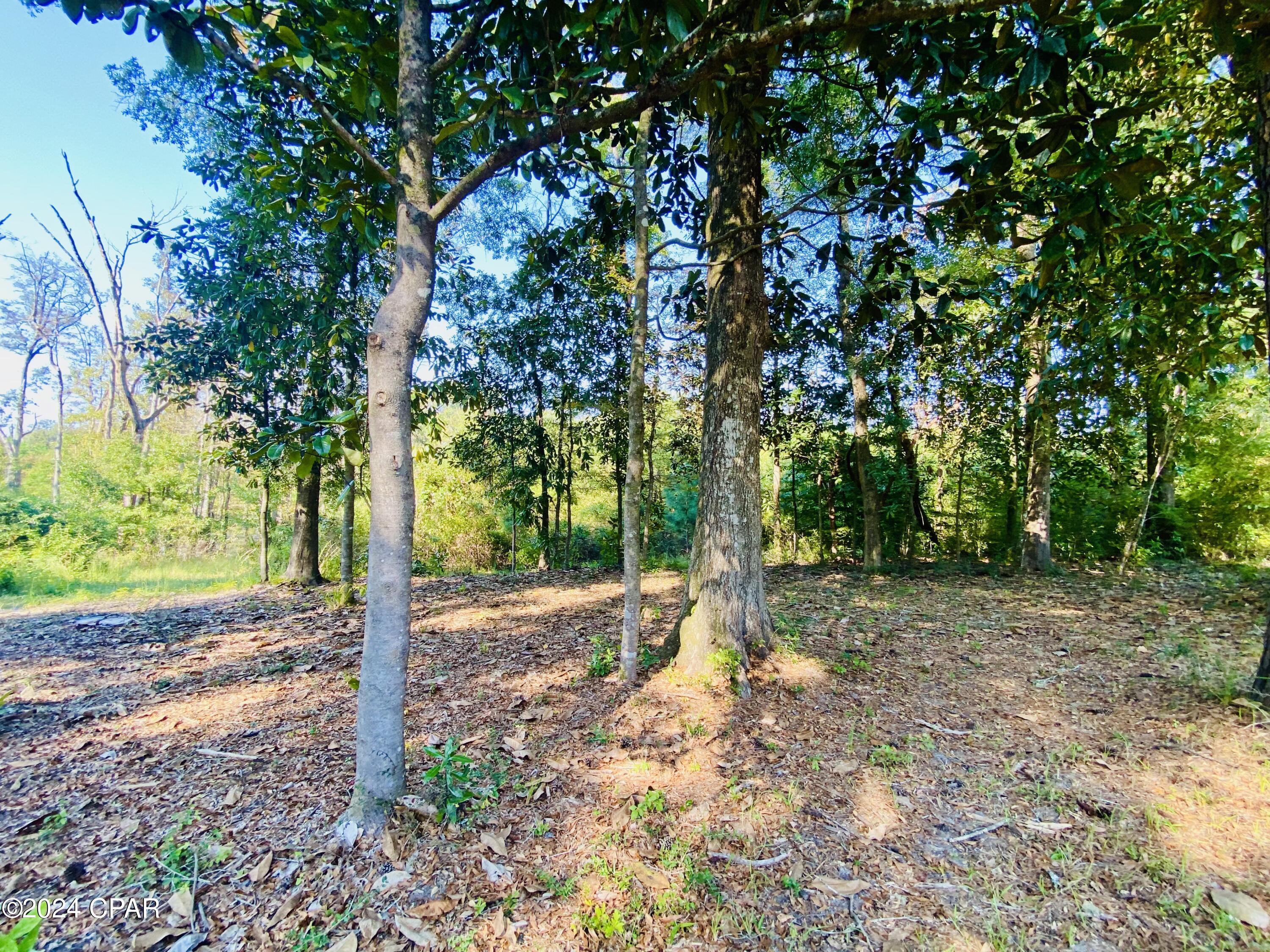 233 Skeeter Road Road, Ponce De Leon, Florida image 43