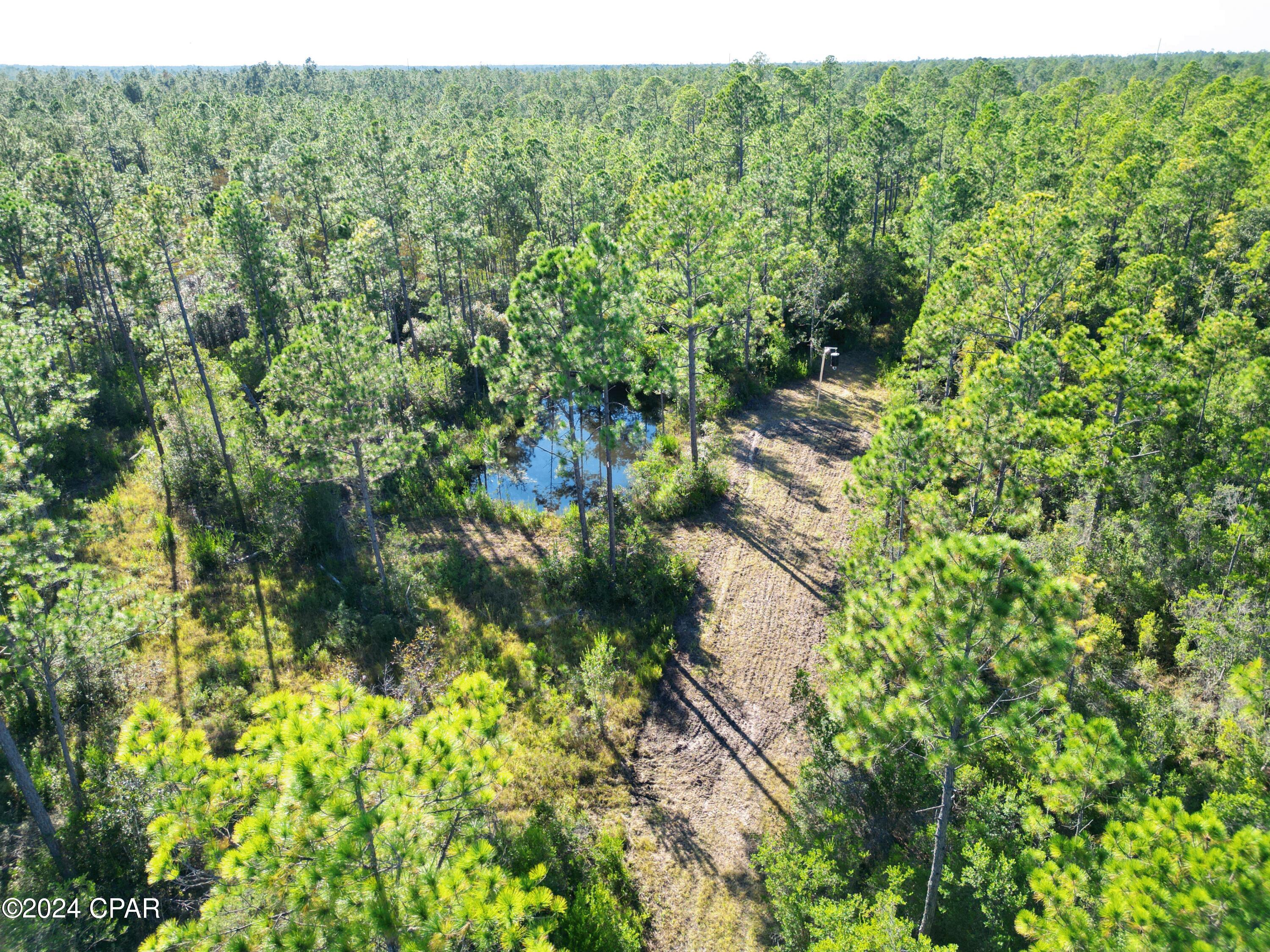 TBD Timbercrest Road, Fountain, Florida image 2