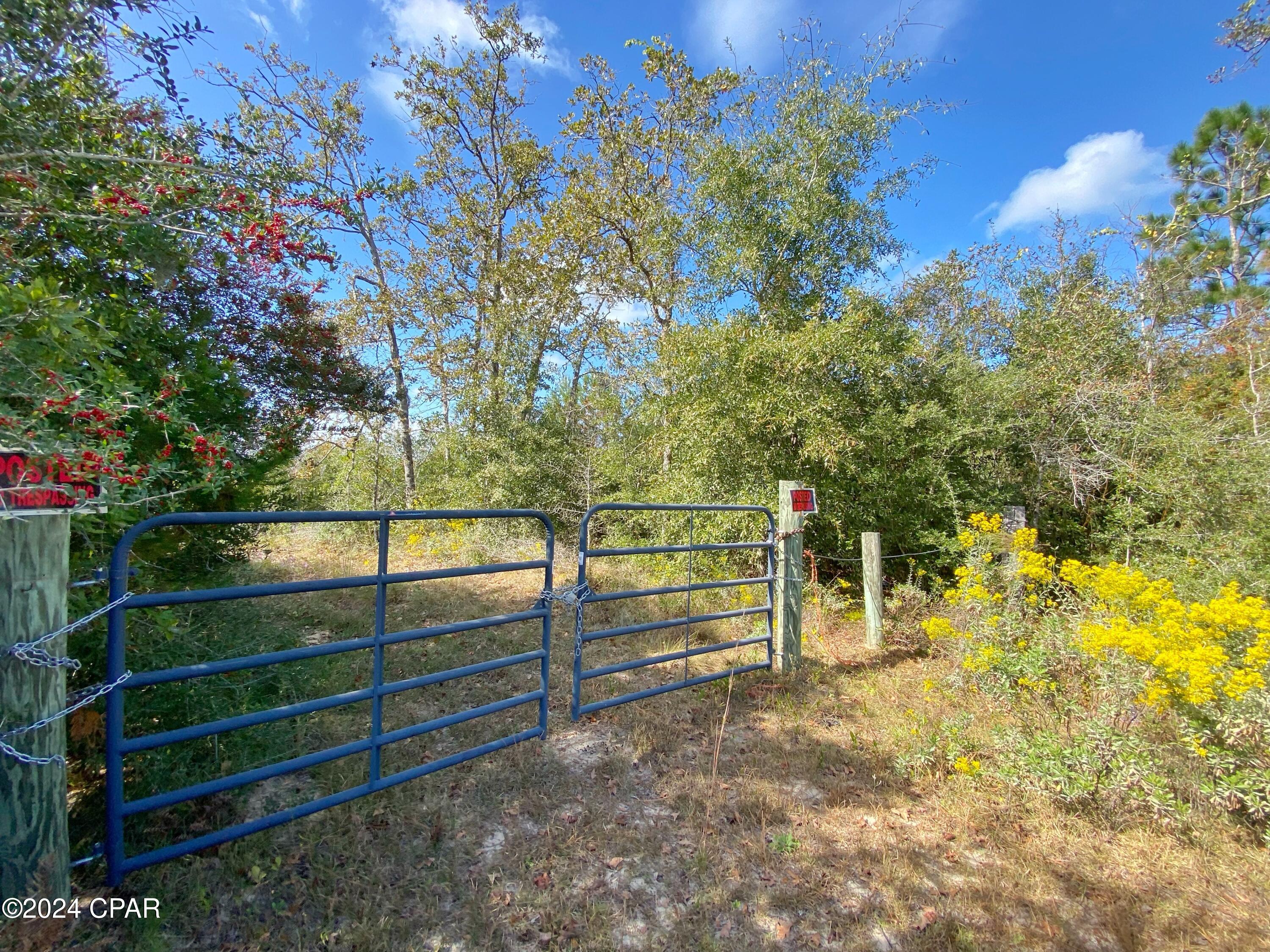 21332 NW Melvin New Grade Road, Altha, Florida image 1