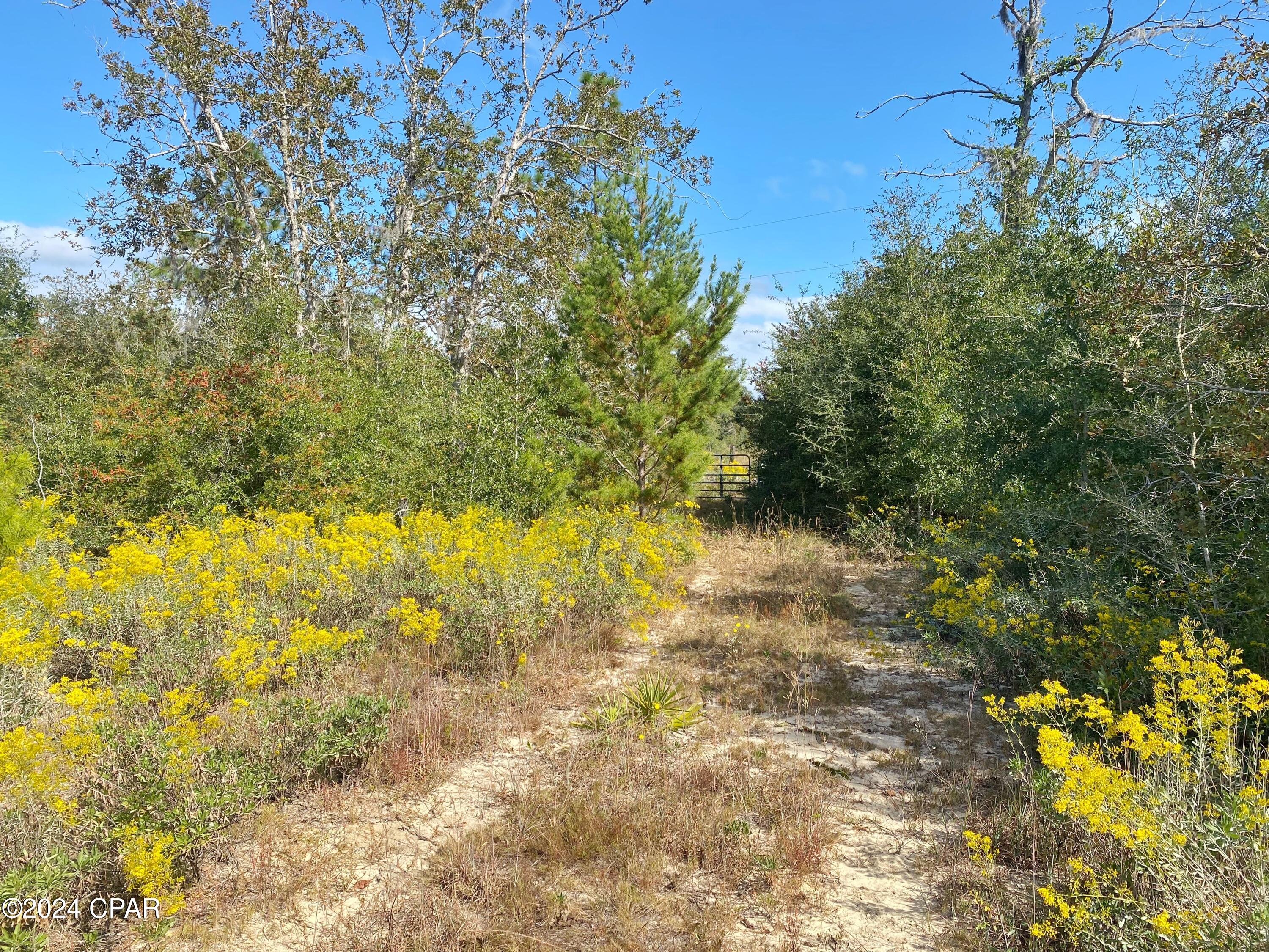 21332 NW Melvin New Grade Road, Altha, Florida image 5