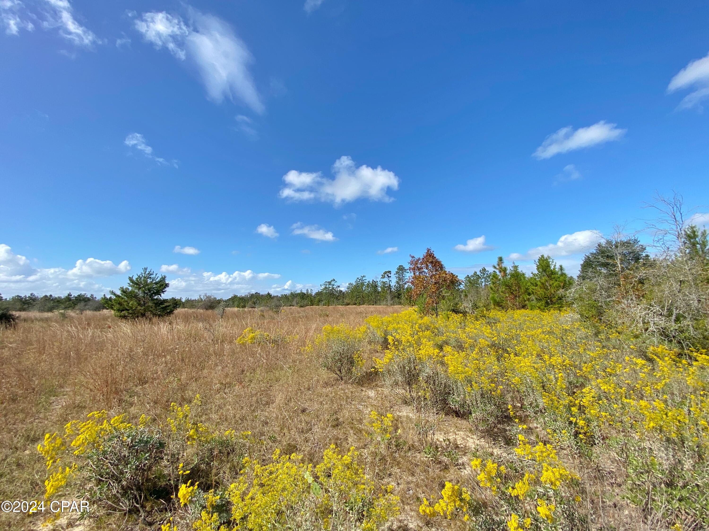 21332 NW Melvin New Grade Road, Altha, Florida image 6