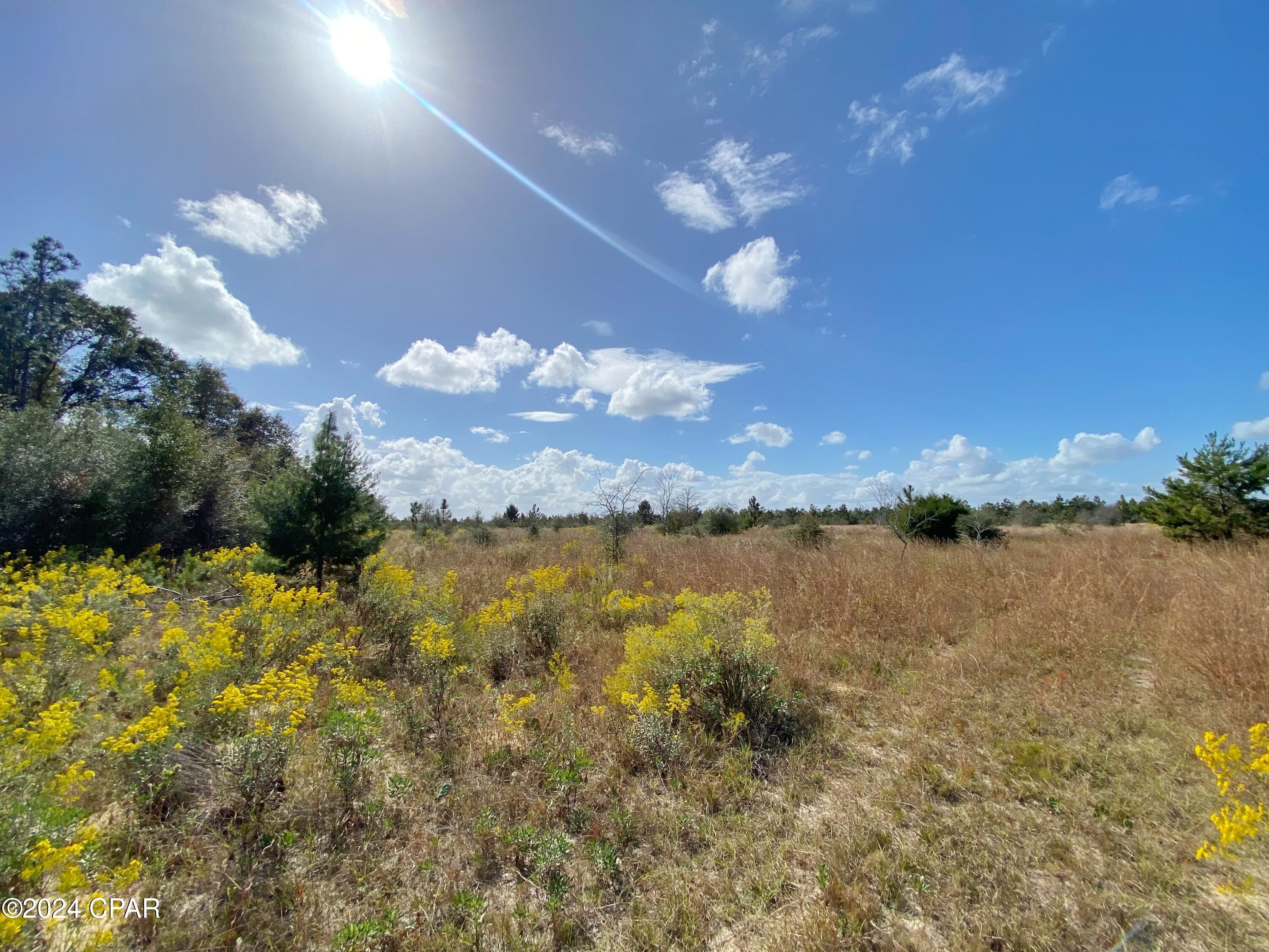 21332 NW Melvin New Grade Road, Altha, Florida image 7