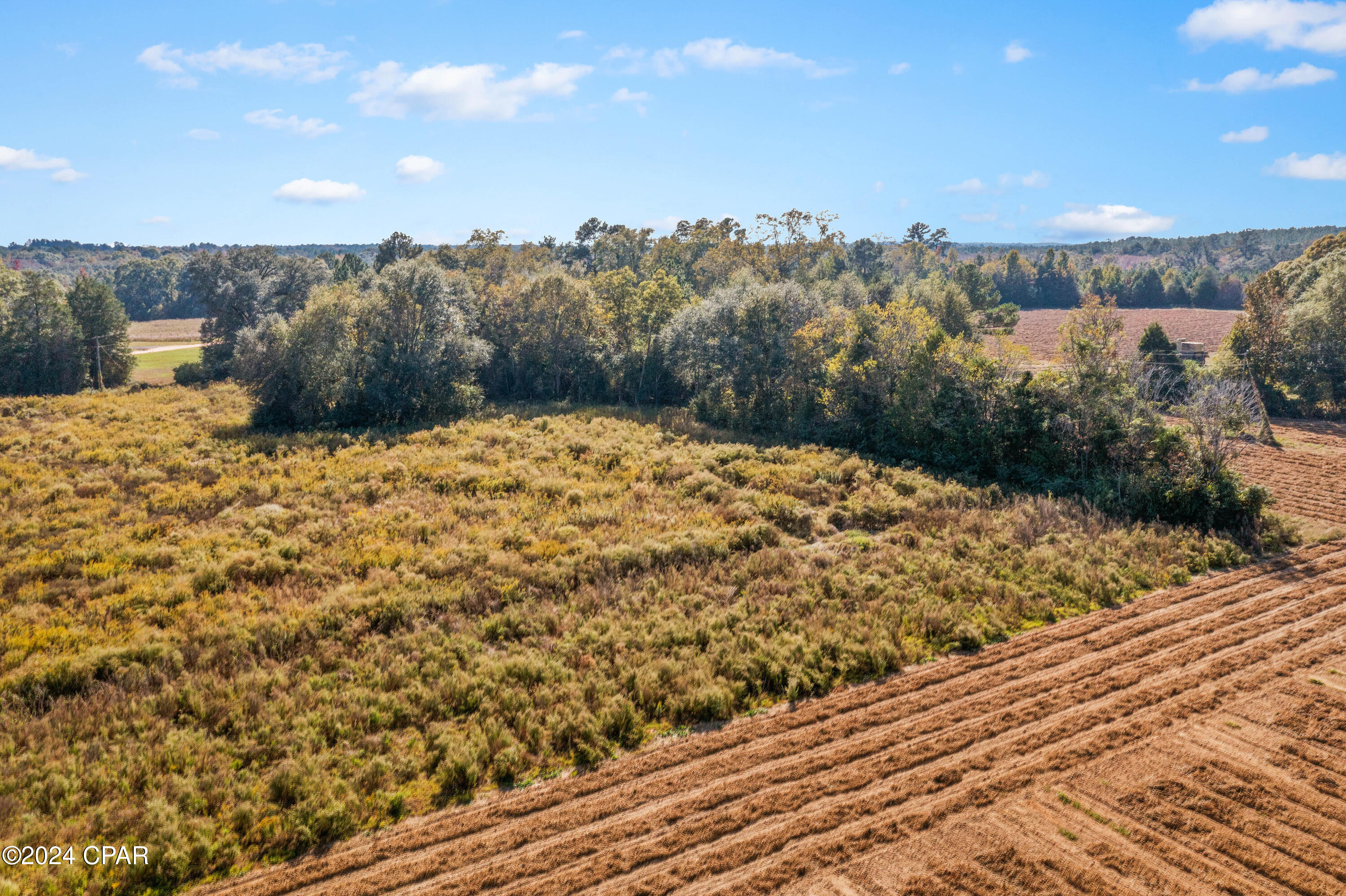 Lot 14 Creek Road, Bonifay, Florida image 13
