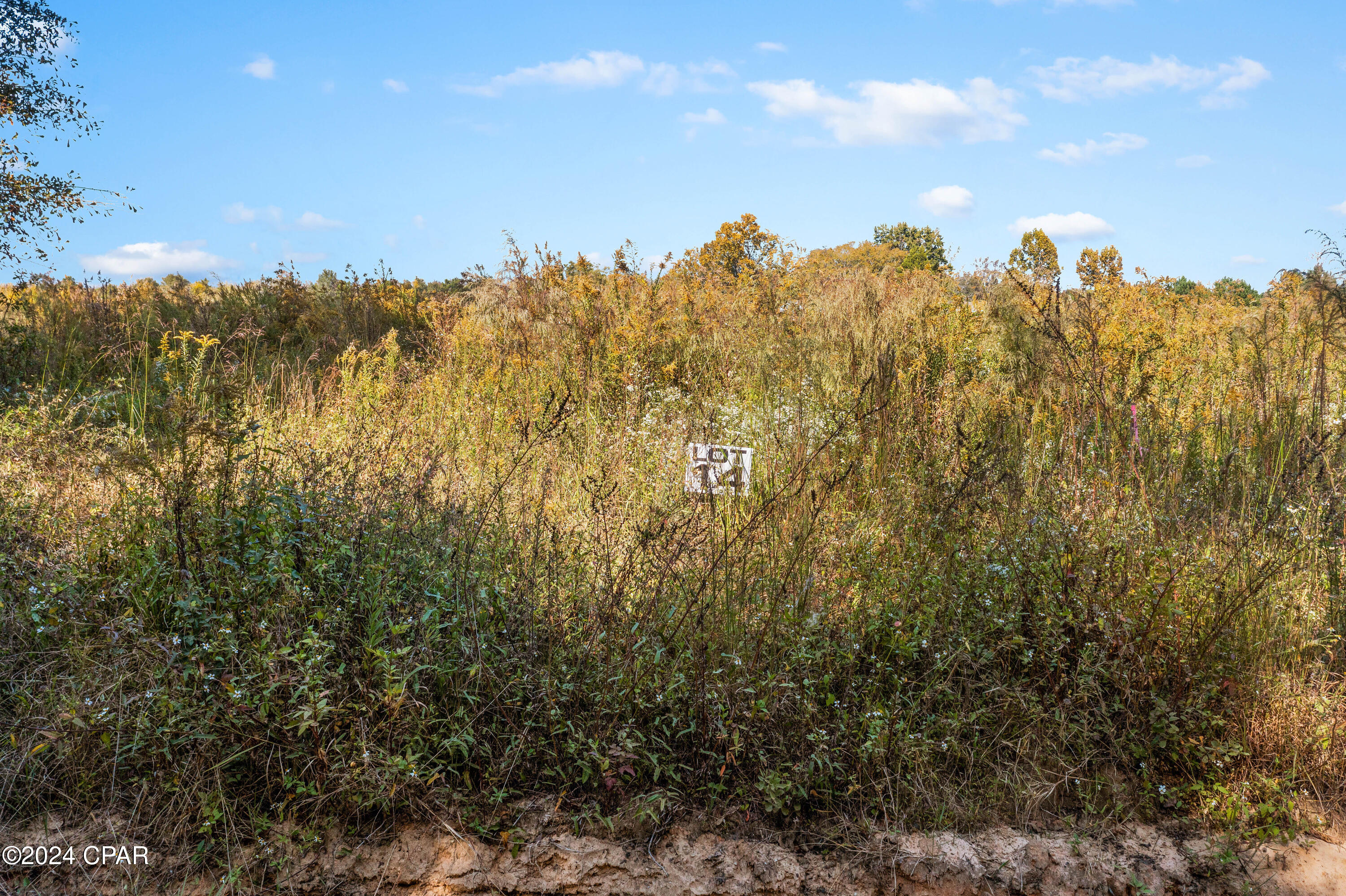 Lot 14 Creek Road, Bonifay, Florida image 2
