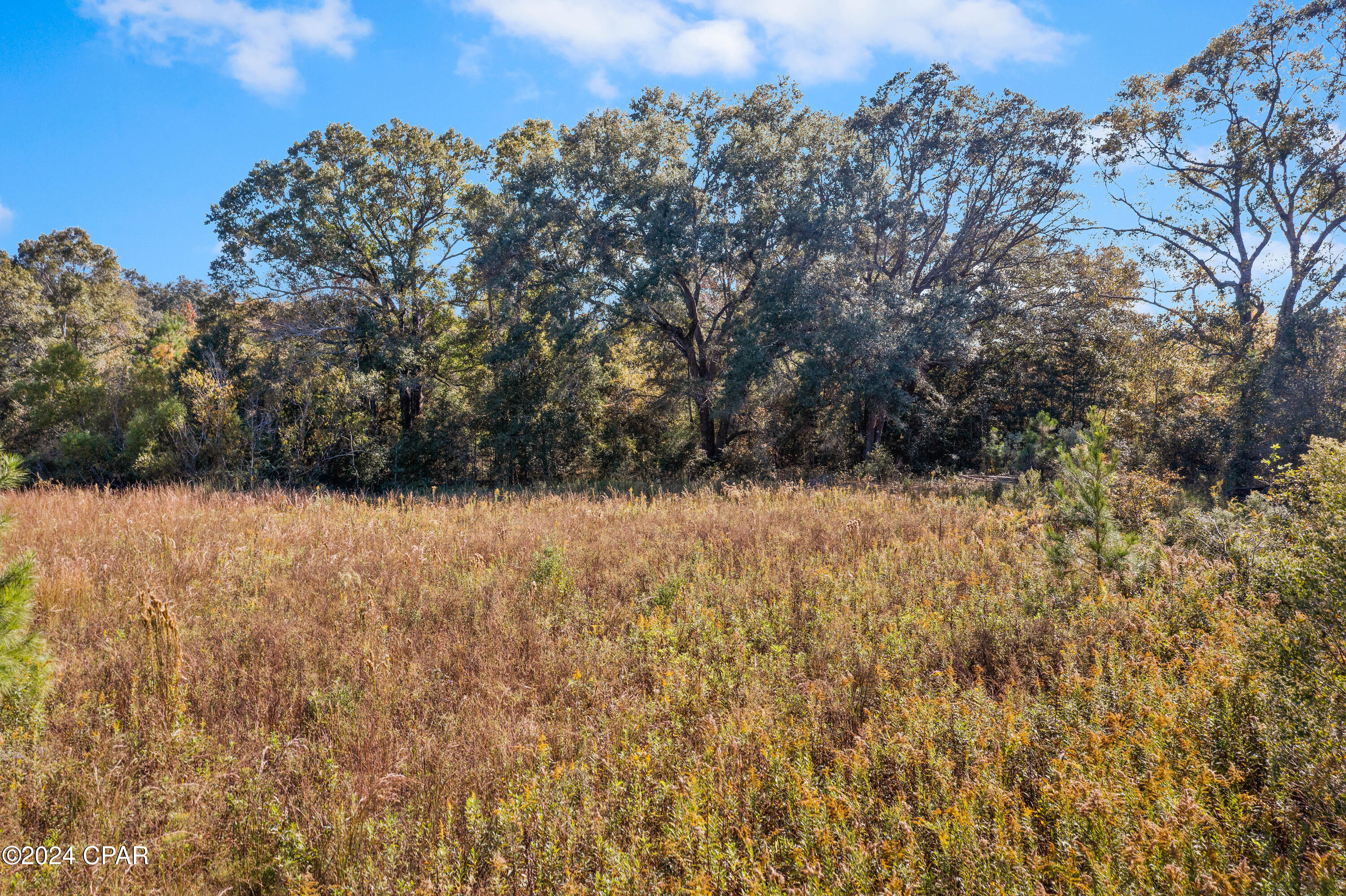 Lot 3 Creek Road, Bonifay, Florida image 2