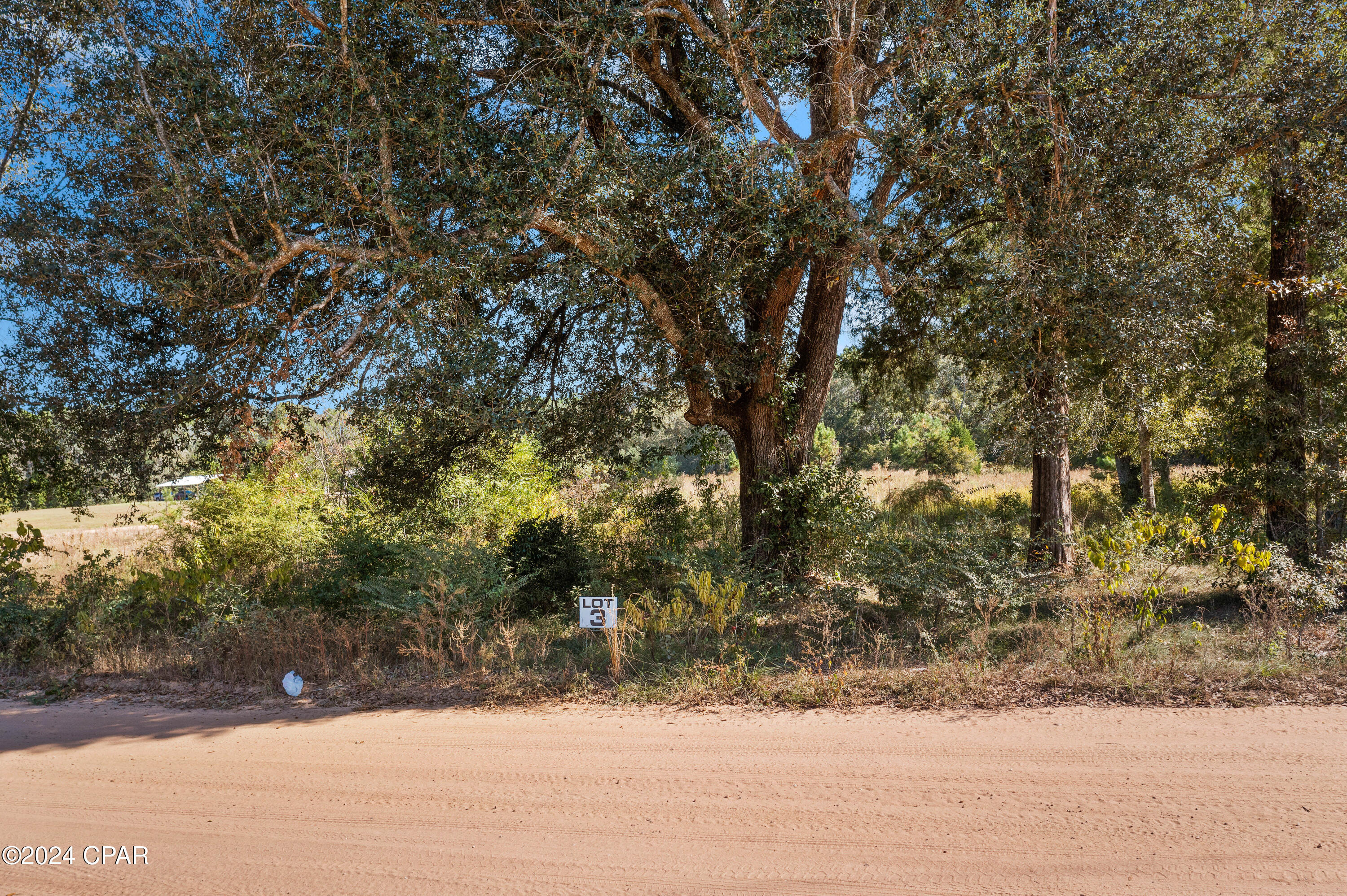 Lot 3 Creek Road, Bonifay, Florida image 3