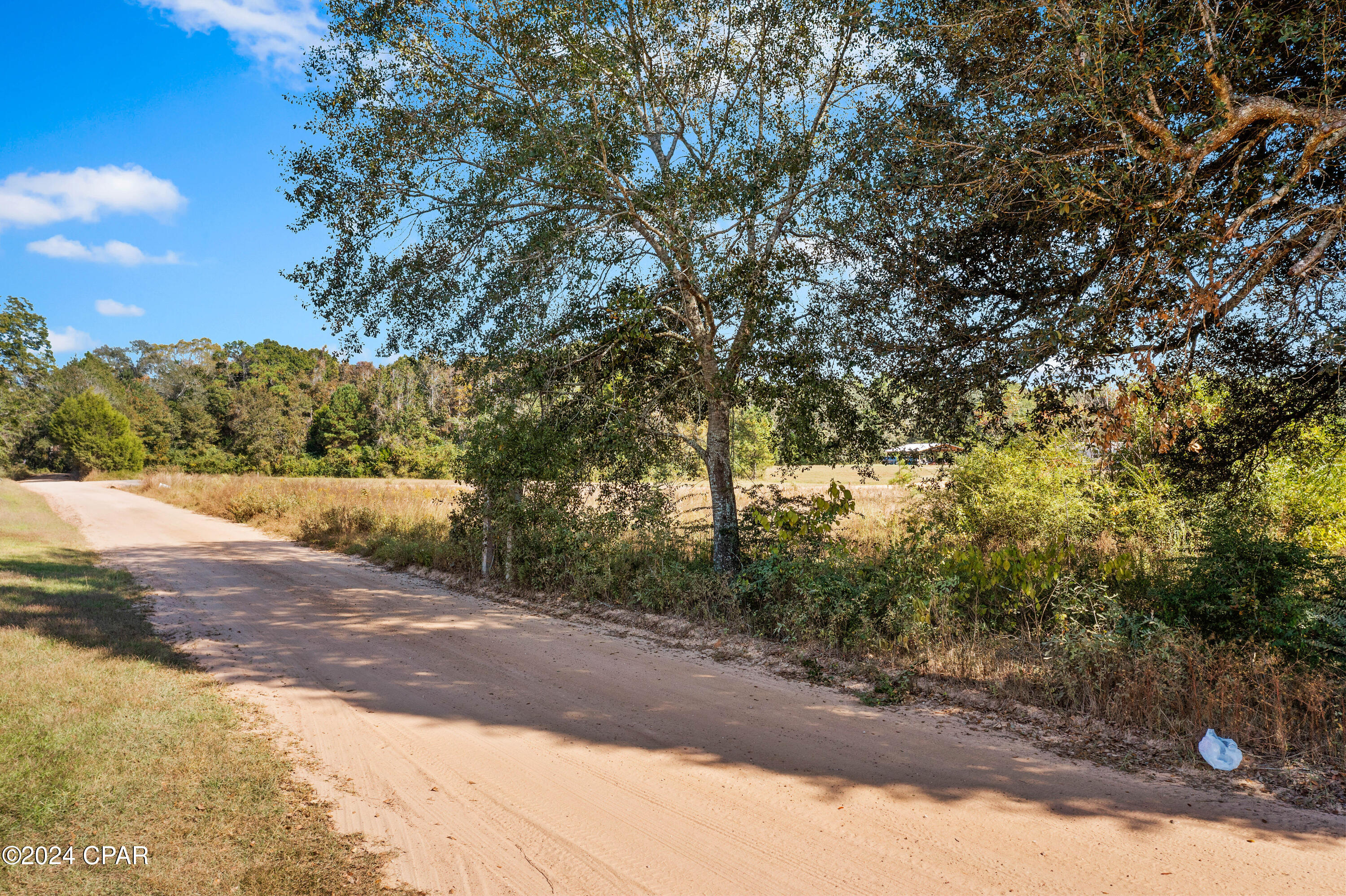 Lot 4 Creek Road, Bonifay, Florida image 2